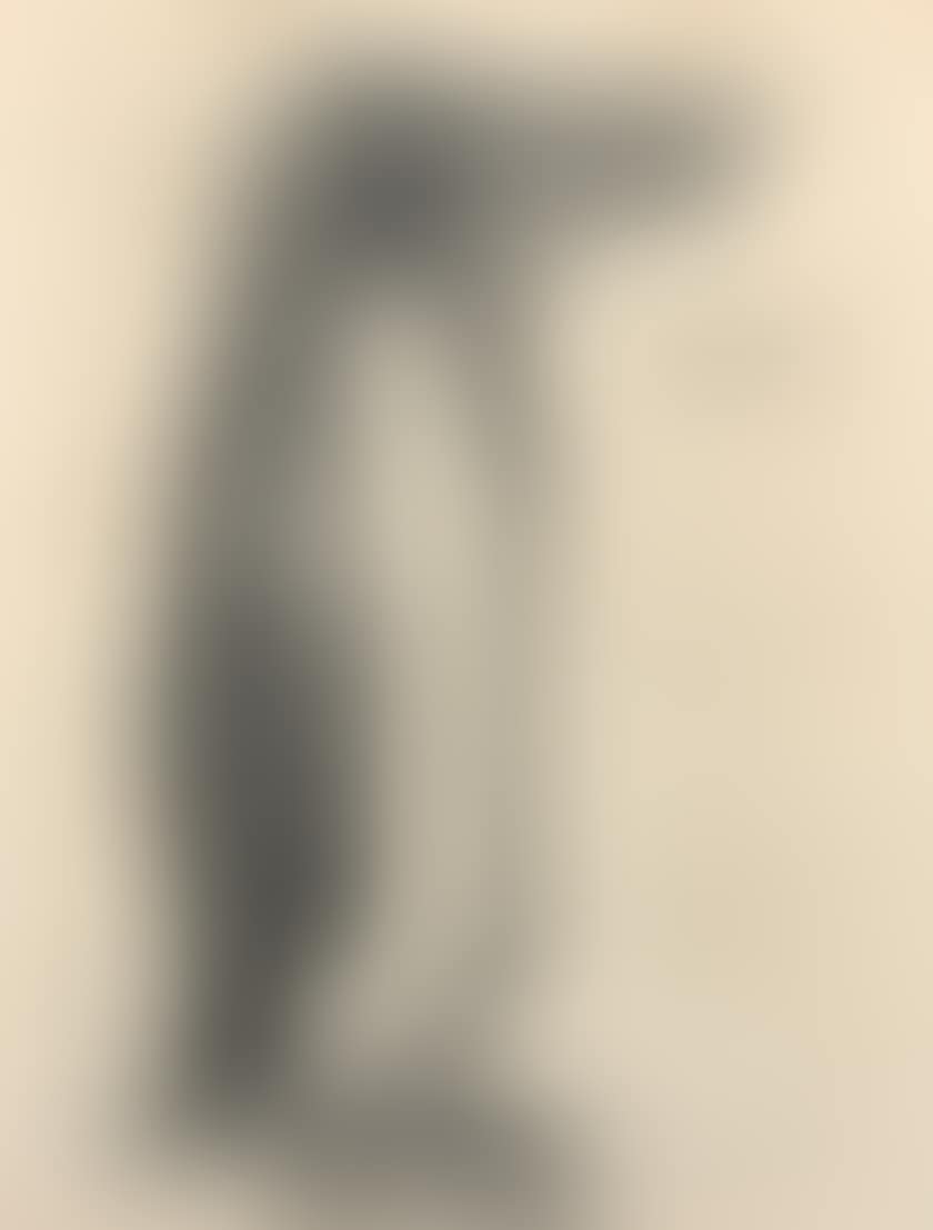 The Bestiary - Manchot (preview)