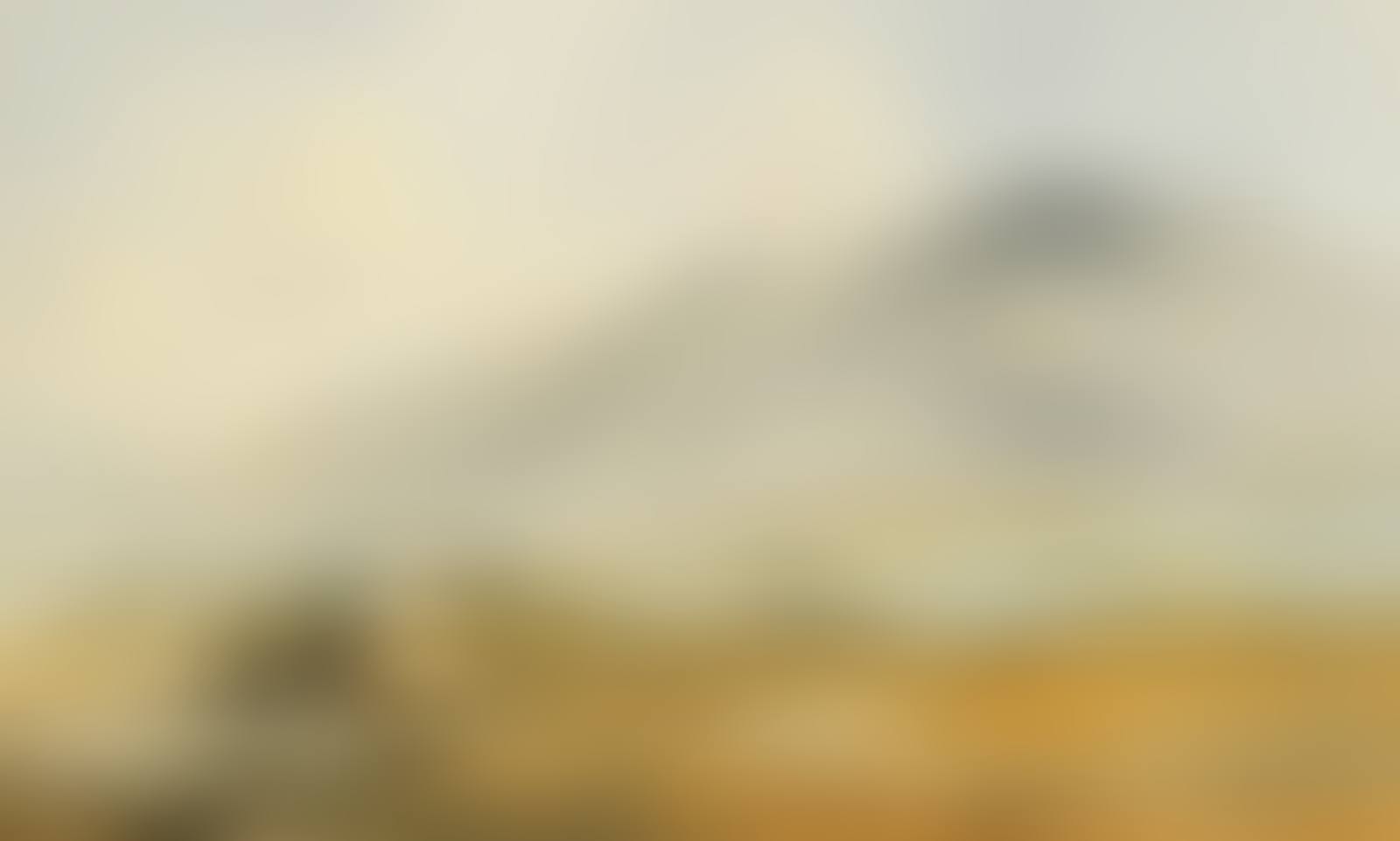 DONEGAL (preview)