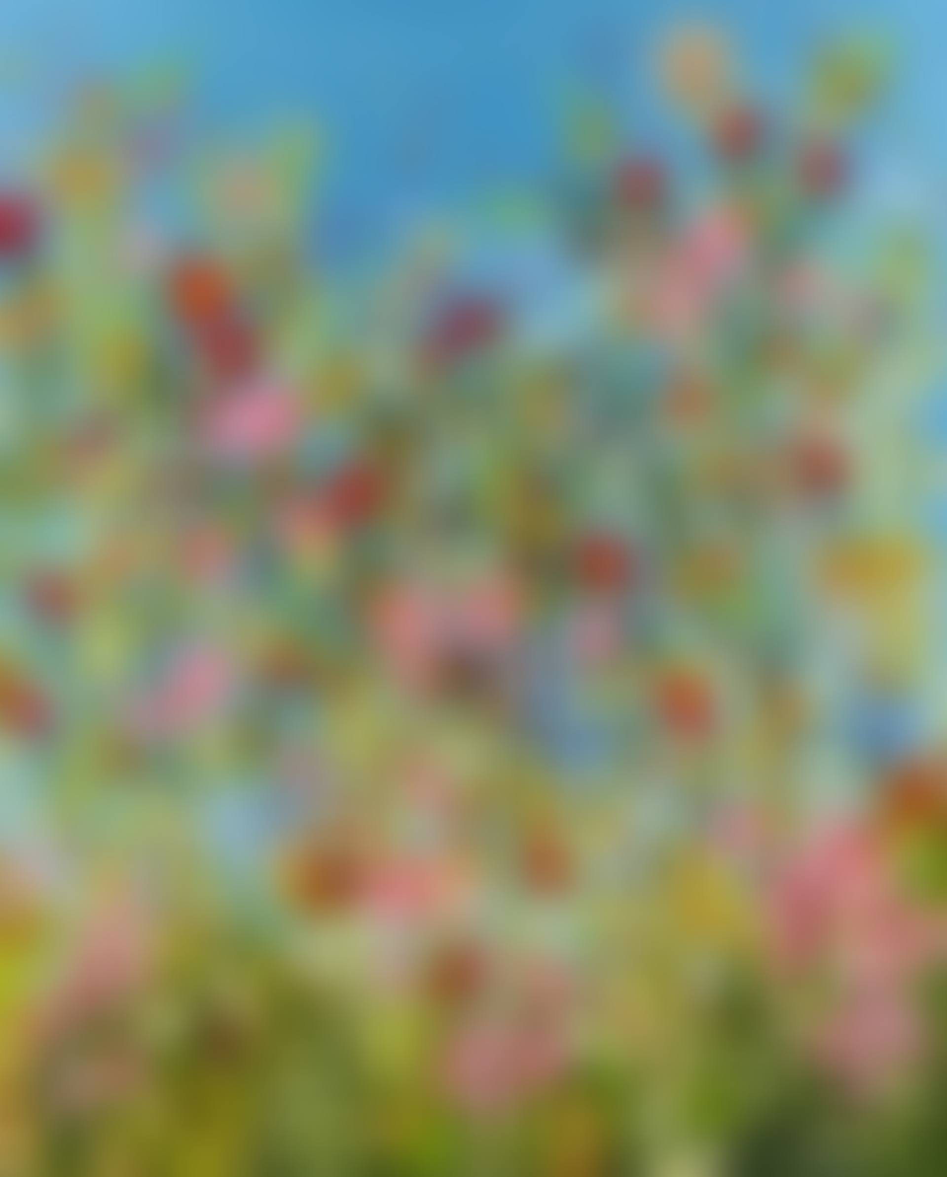ENCHANTED MEADOW (preview)