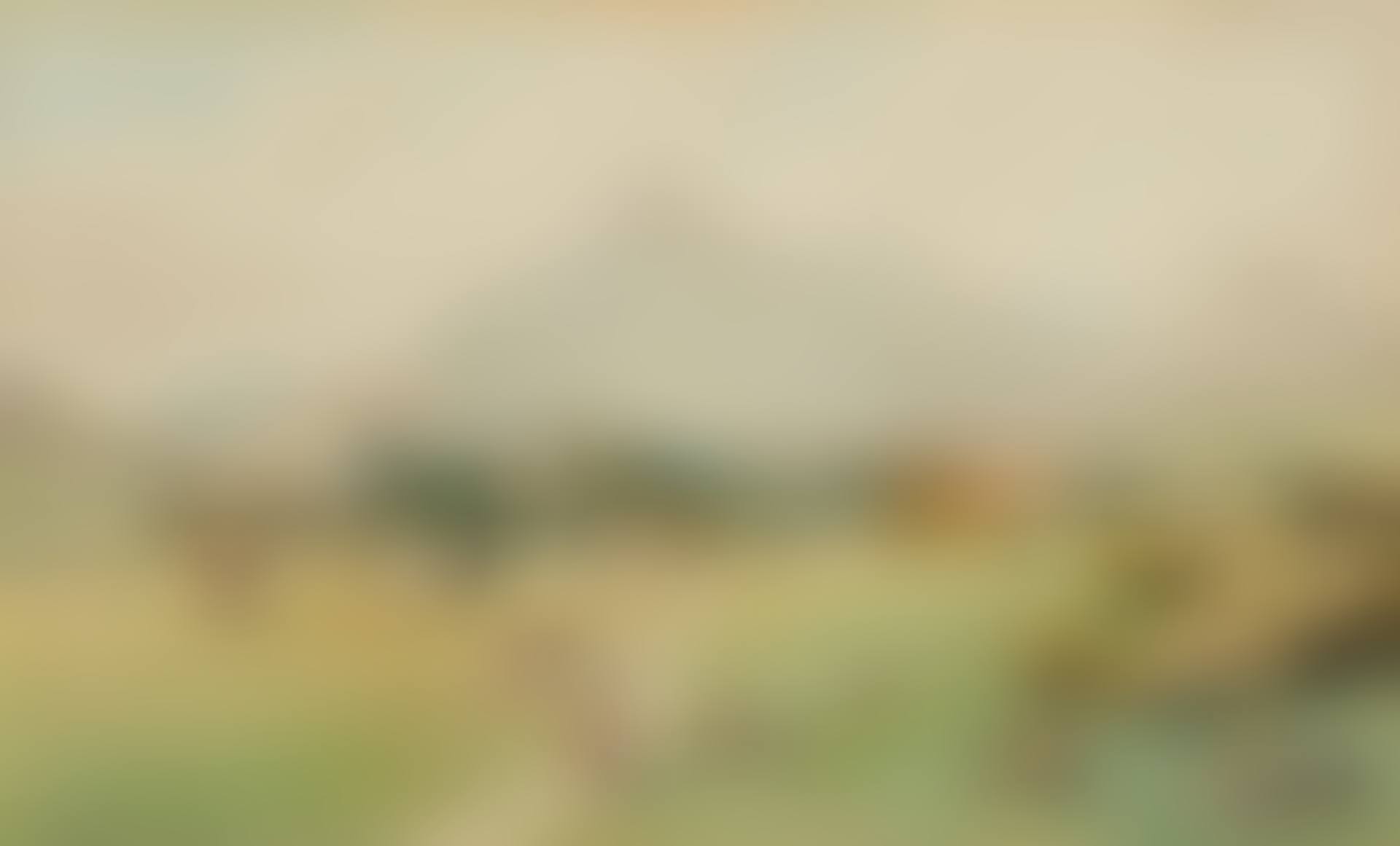 DONEGAL FARMSTEAD (preview)