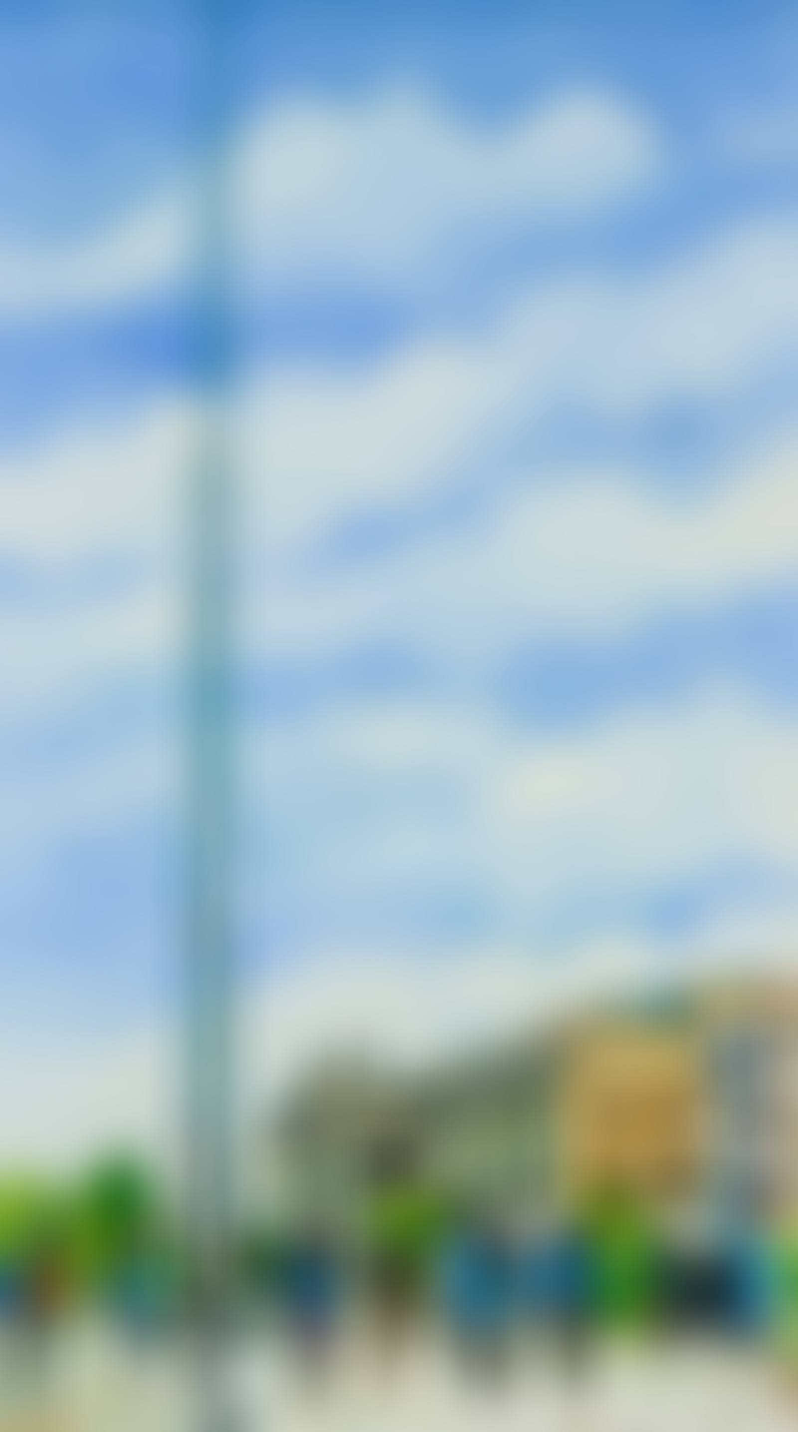 O CONNELL STREET DUBLIN (preview)