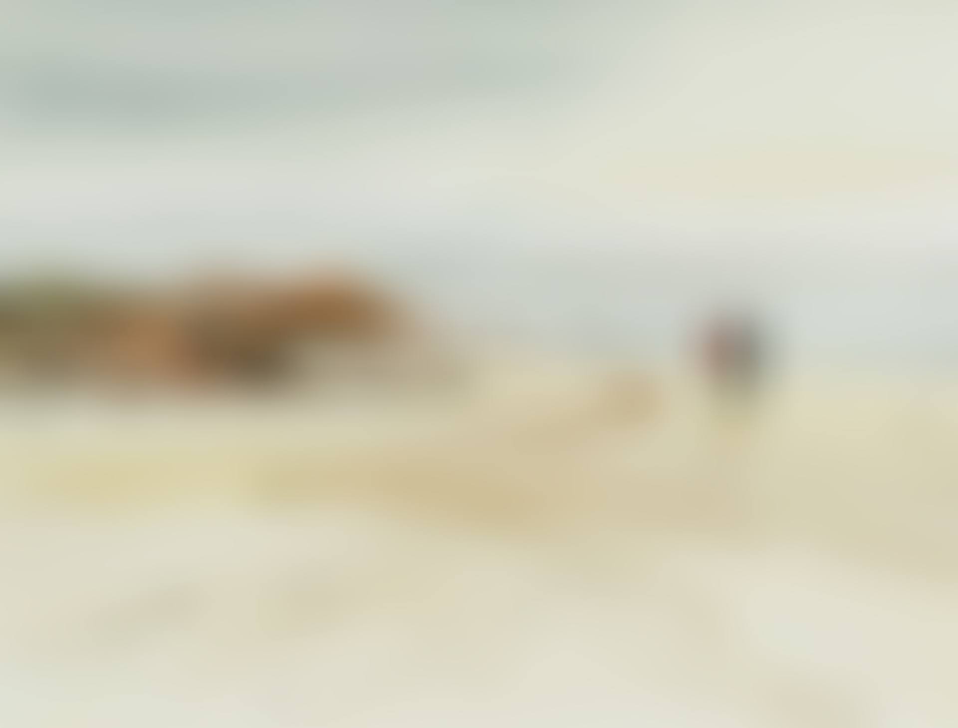 COASTAL STROLL (preview)