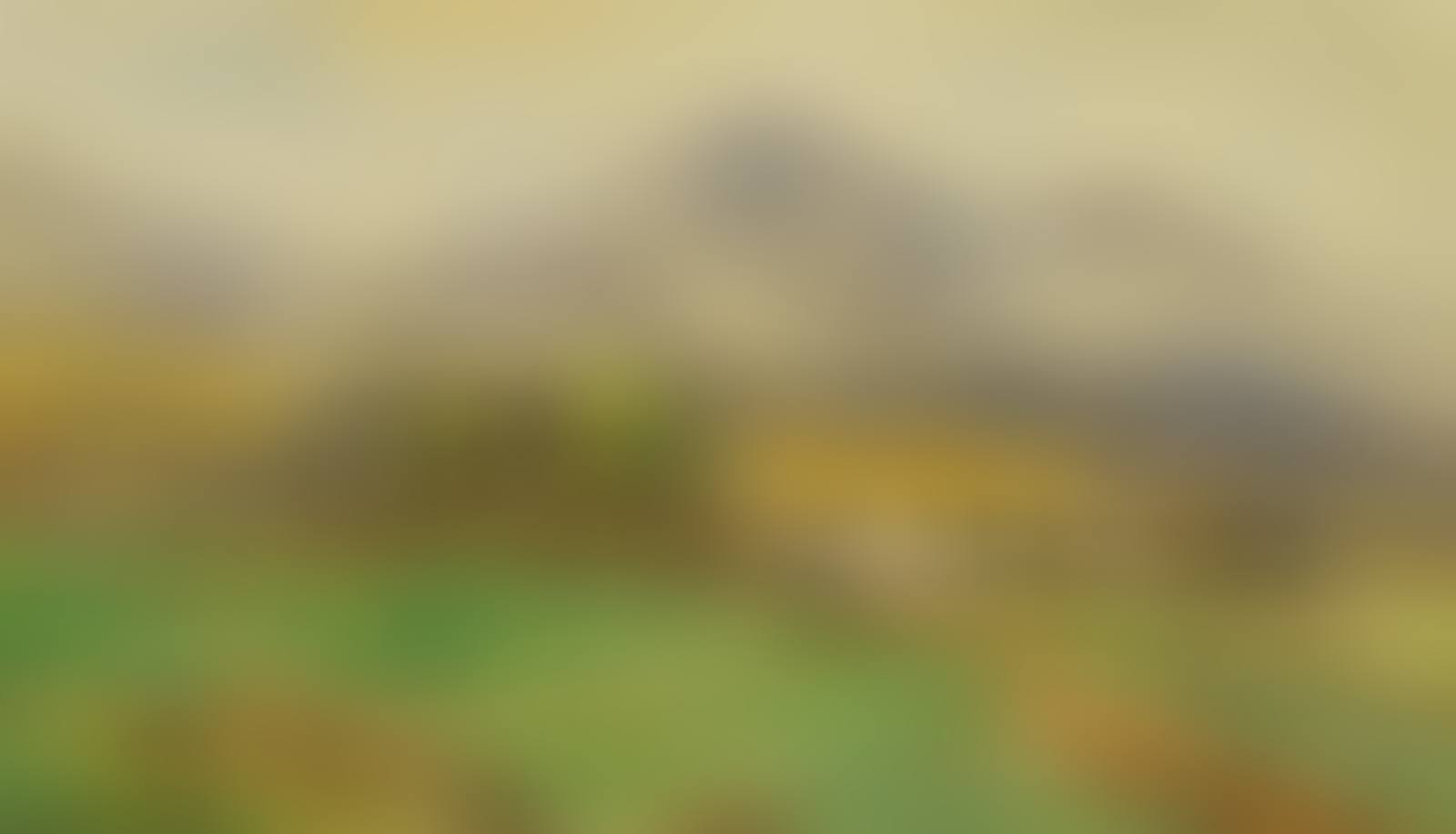 MOUNTAIN COTTAGE (preview)