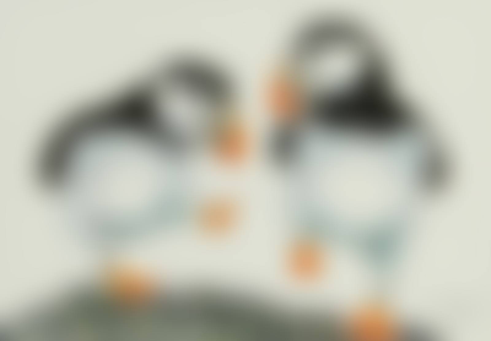 PRANCING PUFFINS (preview)