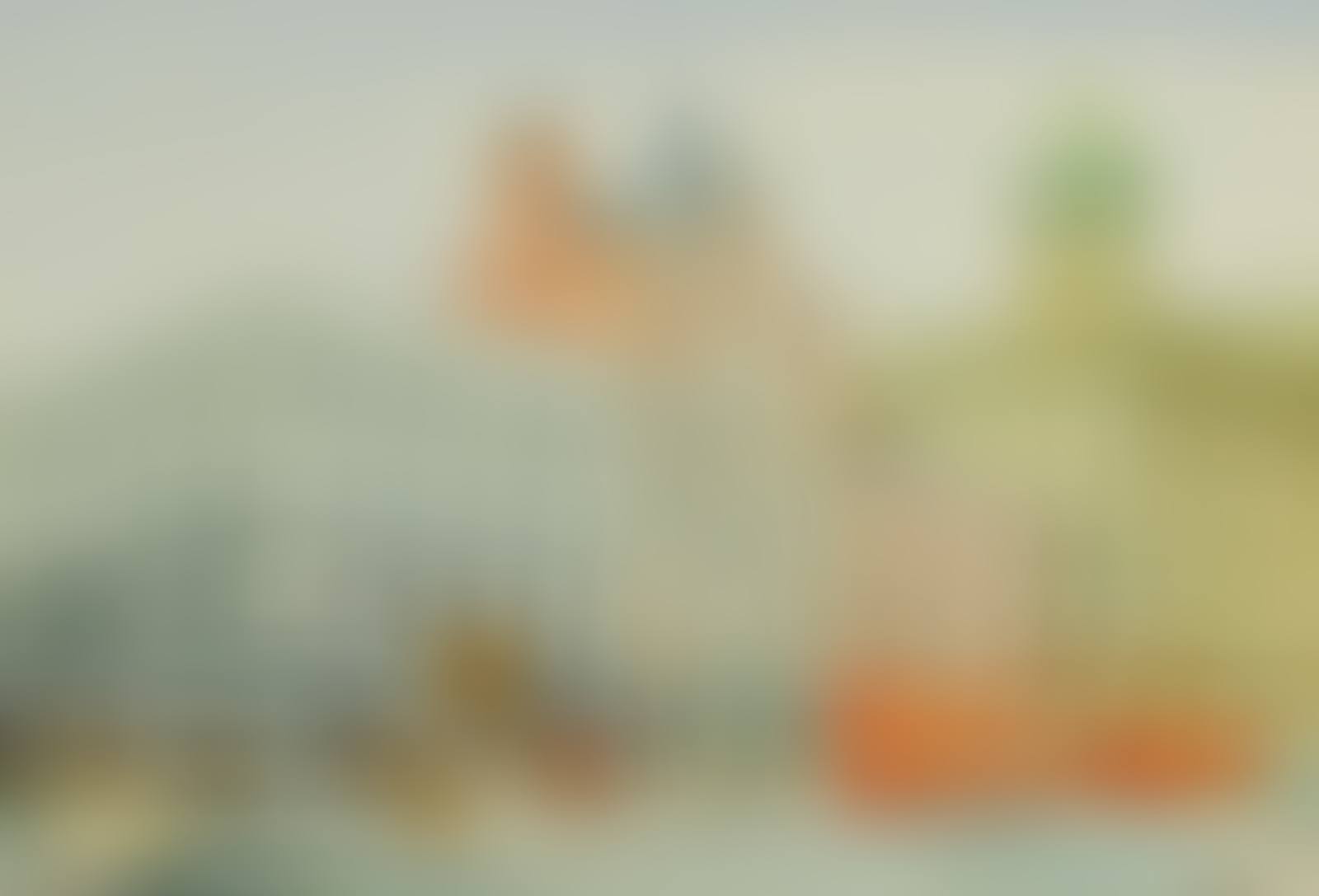 DONEGAL SQUARE WEST BELFAST (preview)