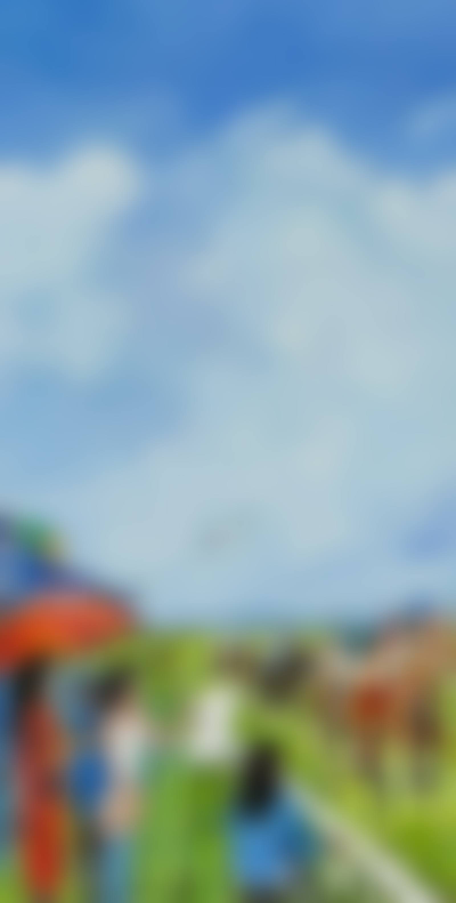 AT THE RACES (preview)