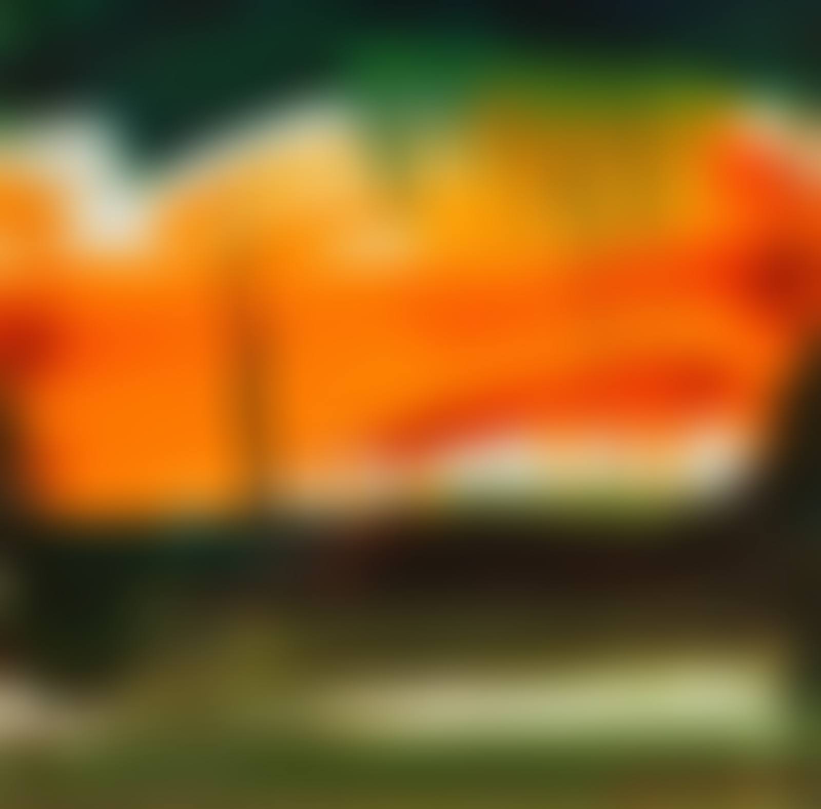 LANDSCAPE STUDY (preview)