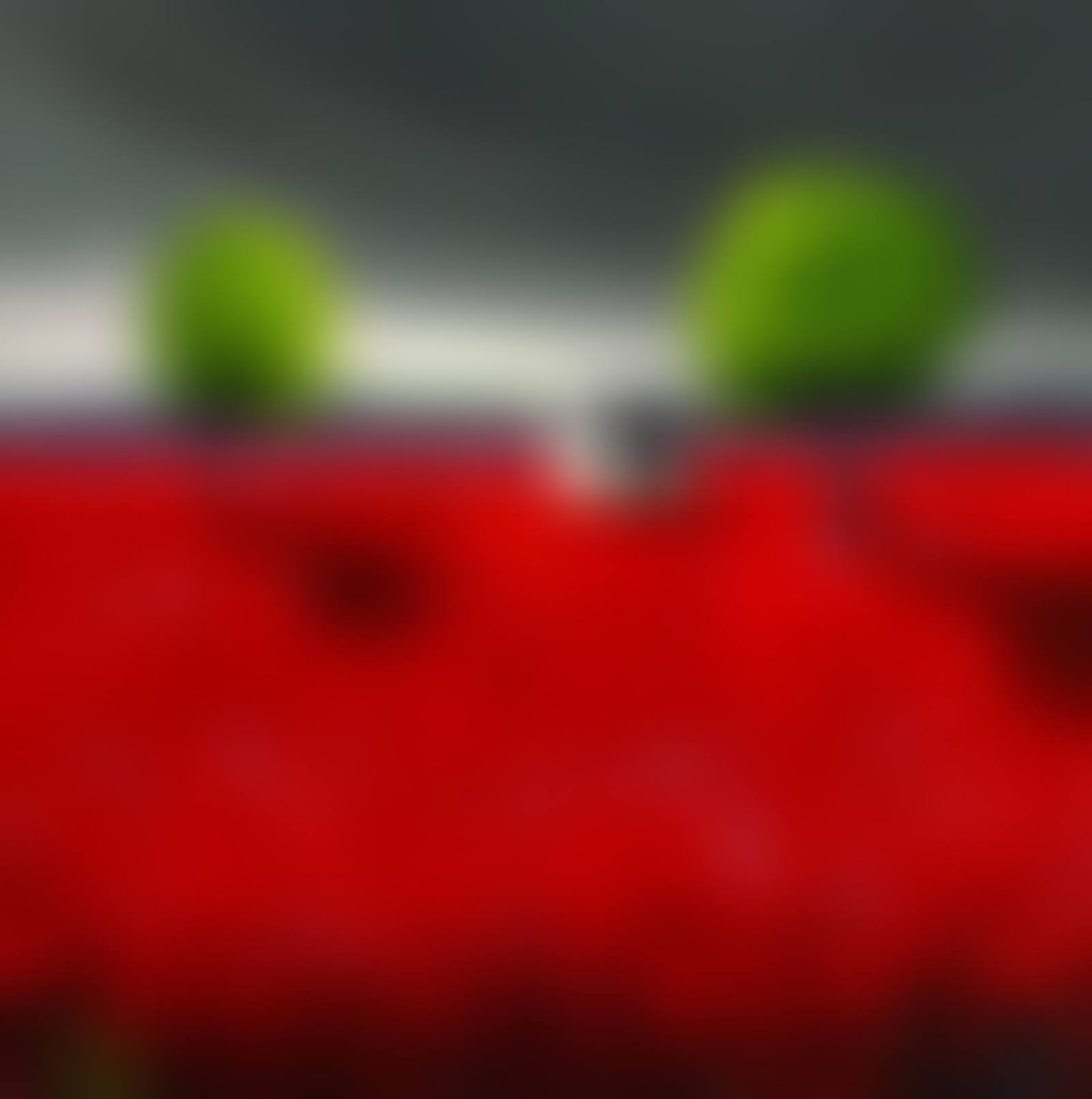 WHITE HOUSE BETWEEN TWO GREEN TREES (preview)