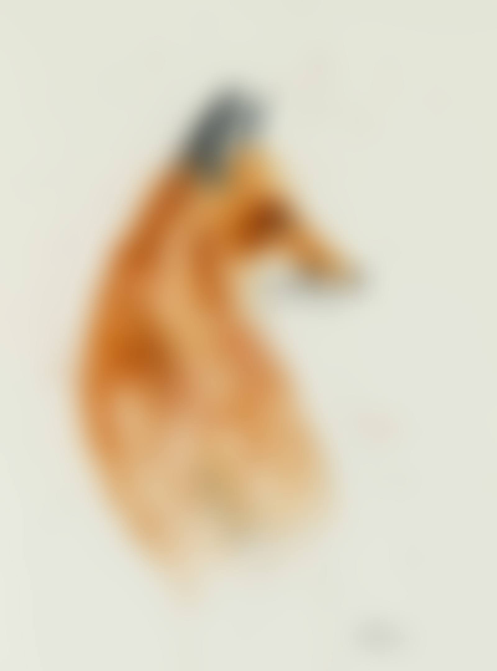 FOX (preview)