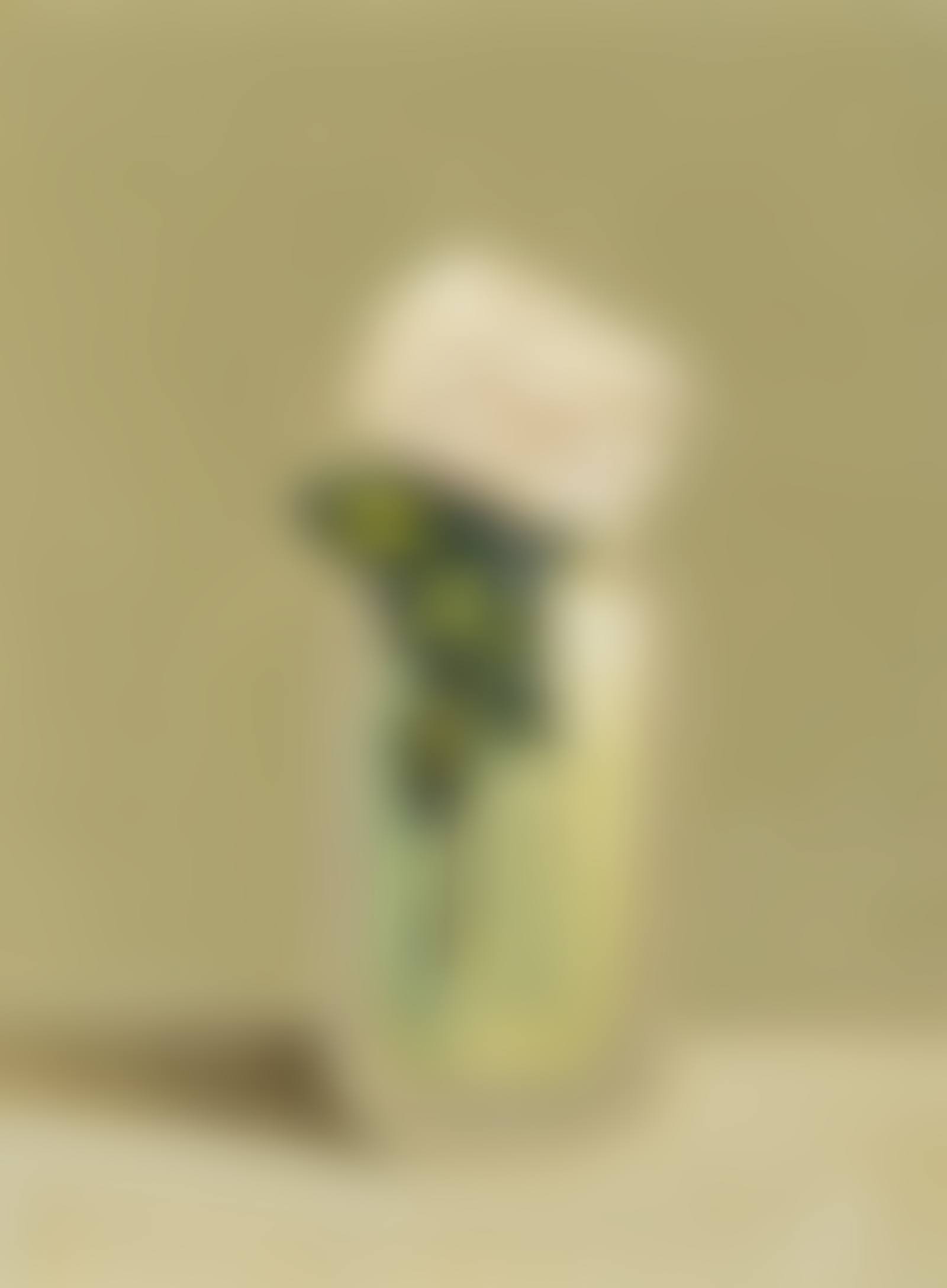 WHITE ROSES (preview)