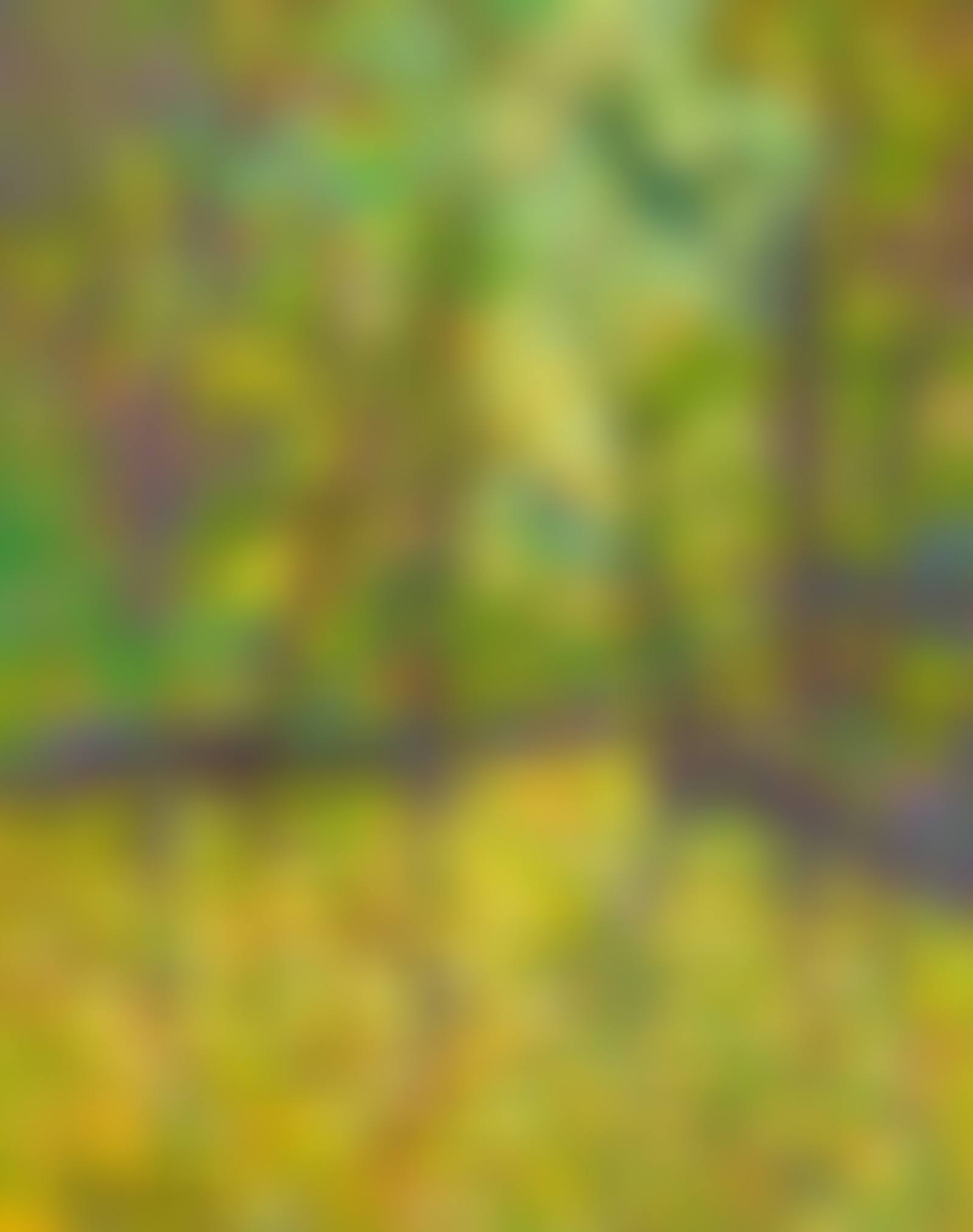 EARLY MORNING RIVER AVON (preview)