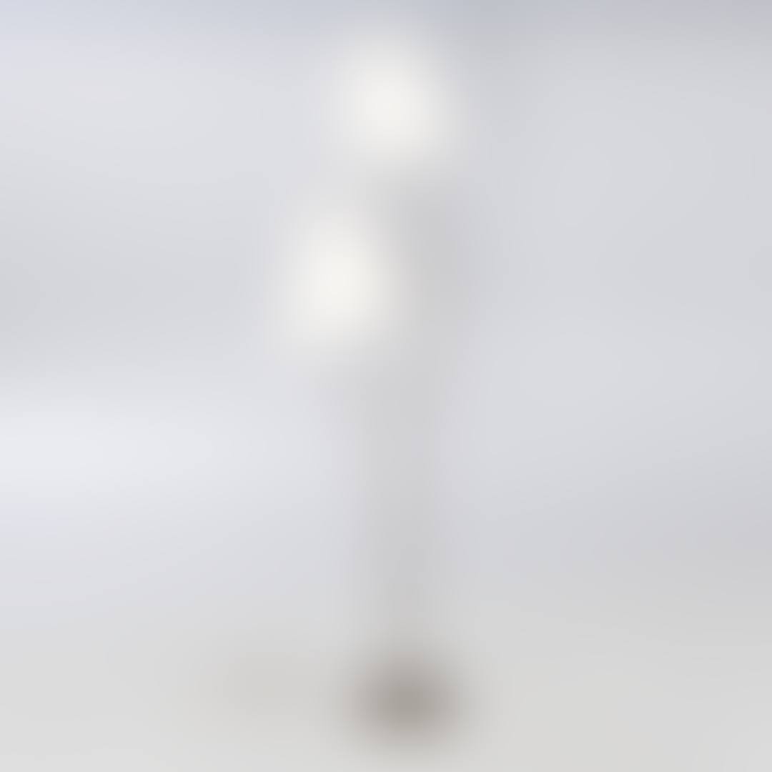 Stehlampe mit zwei Lampenschirmen (preview)