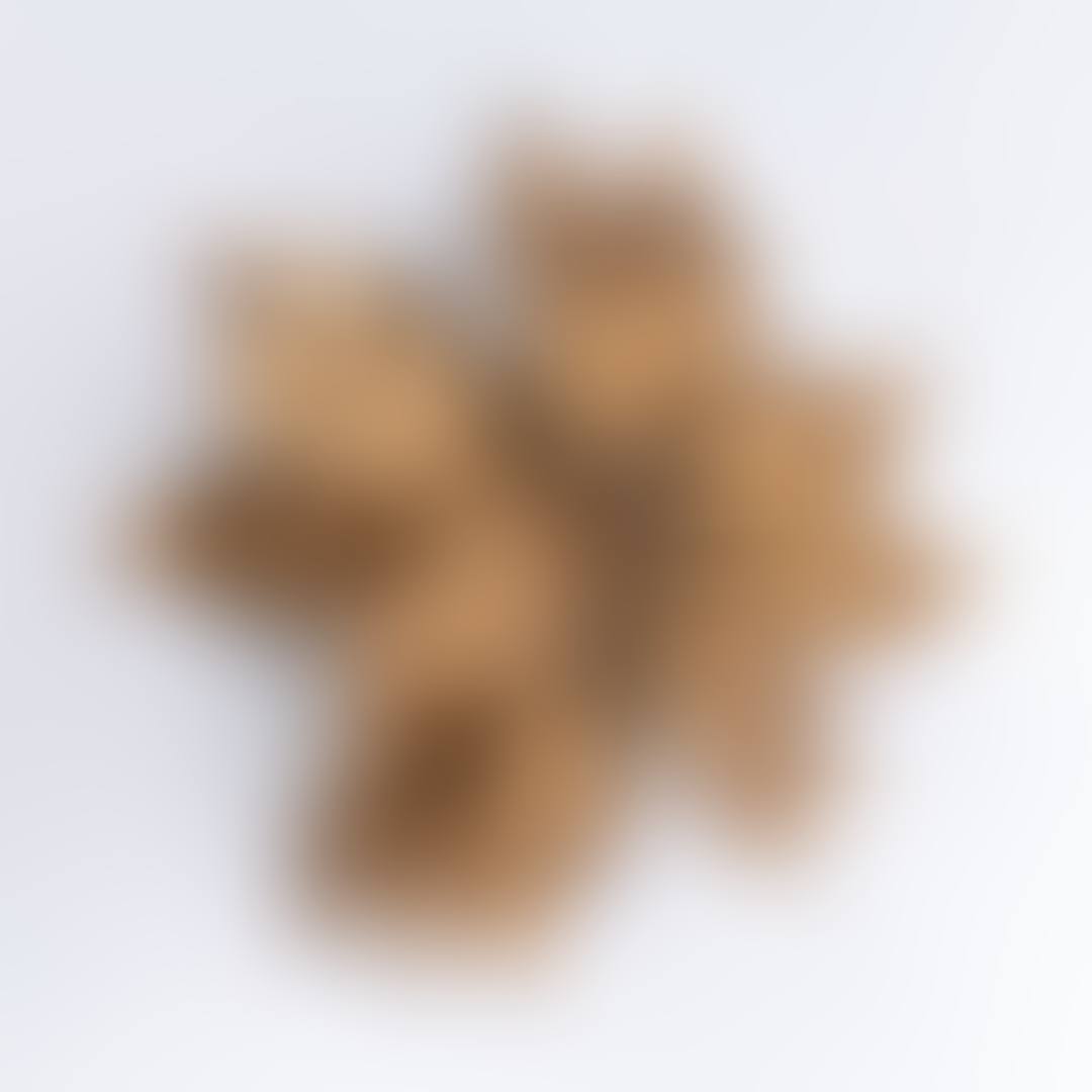 Florale Wandlampe / Deckenlampe (preview)