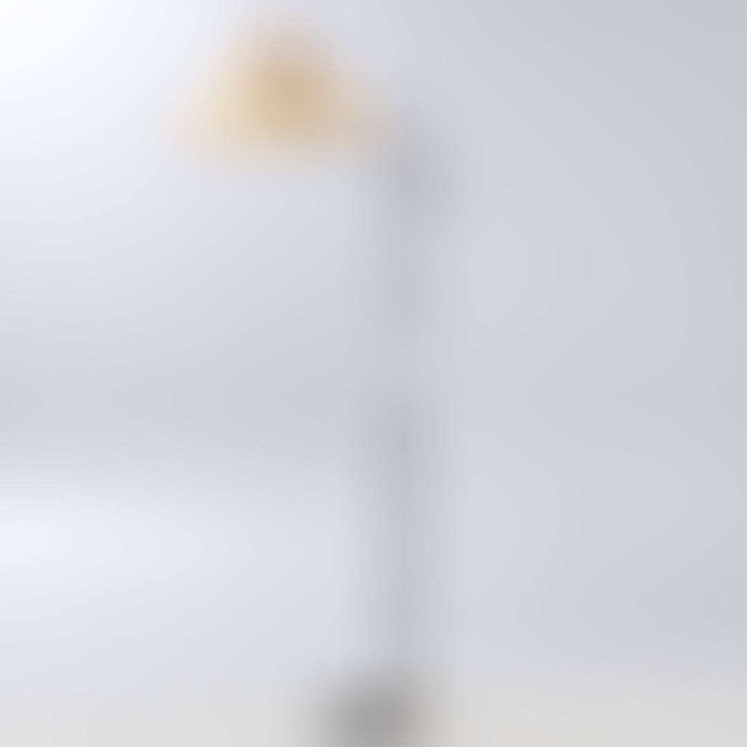 Stehlampe Pelikan (preview)