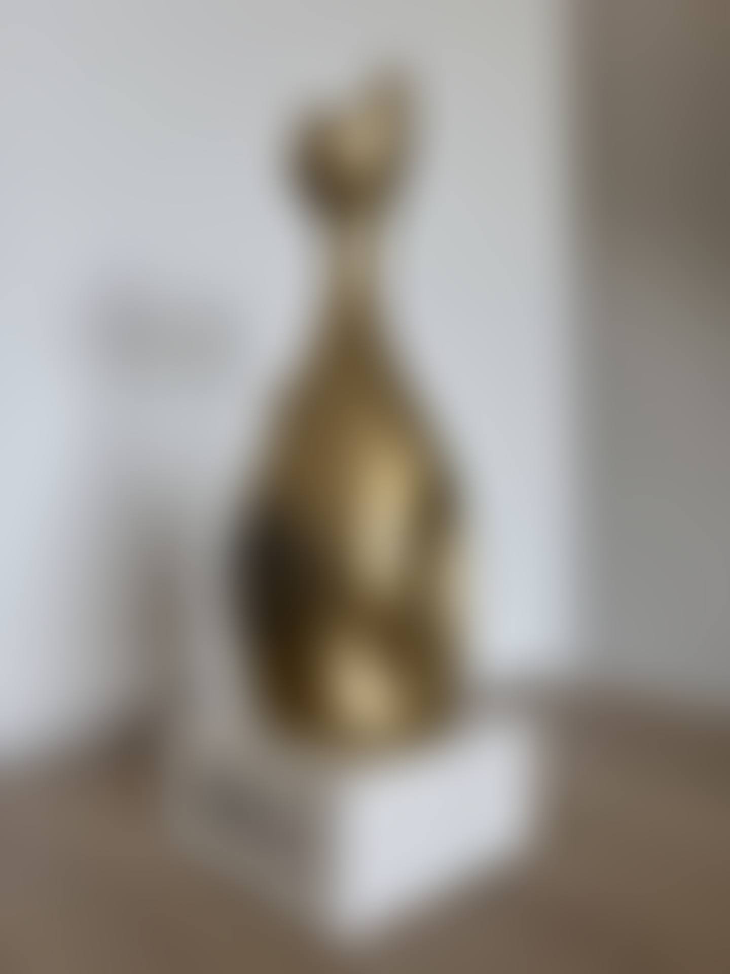 Lelocat or Hermès 25, 5/10 (preview)