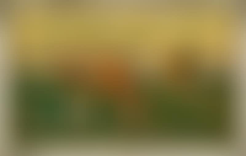 Grazing cattle, Bornholm (preview)