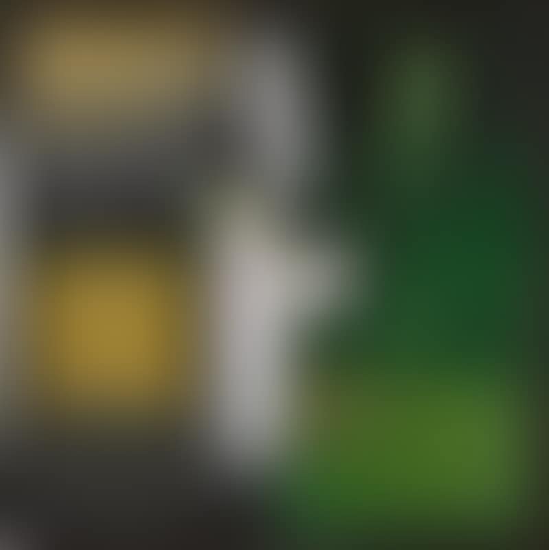“Leda & Swan - Into the Forest” (preview)