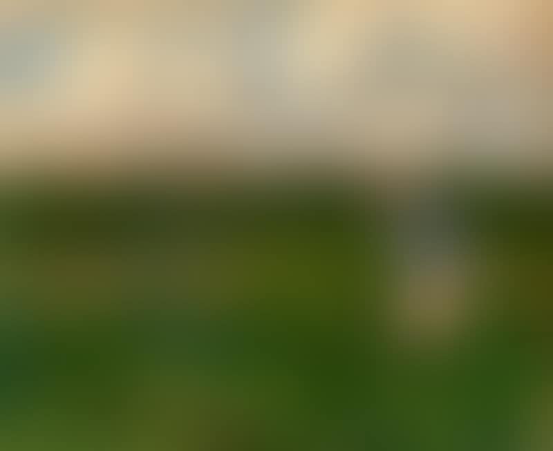 A young harvest worker in the field (preview)