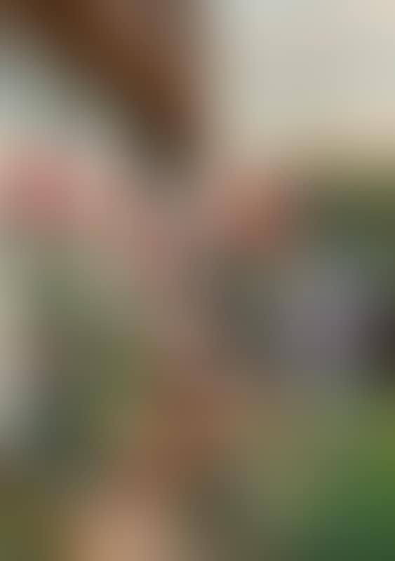 A girl knitting in the garden of a farmhouse with hollyhocks (preview)