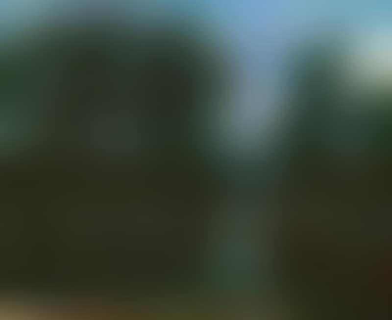 Evening light (preview)