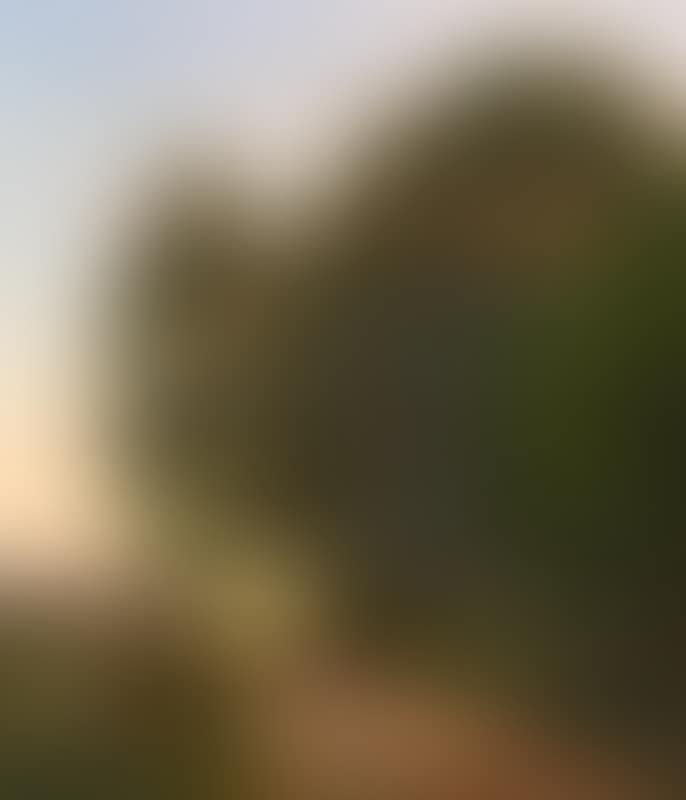 In the twilight at Nysø (preview)