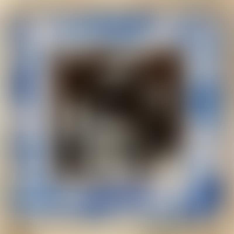 “Cagouille s"apparat” (preview)