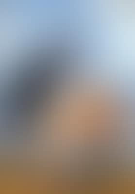 Der dreiste Freier (preview)