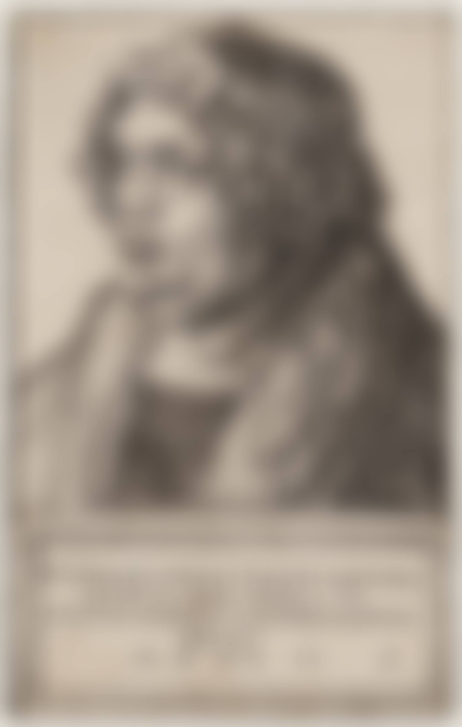 Willibald Pirckheimer (preview)