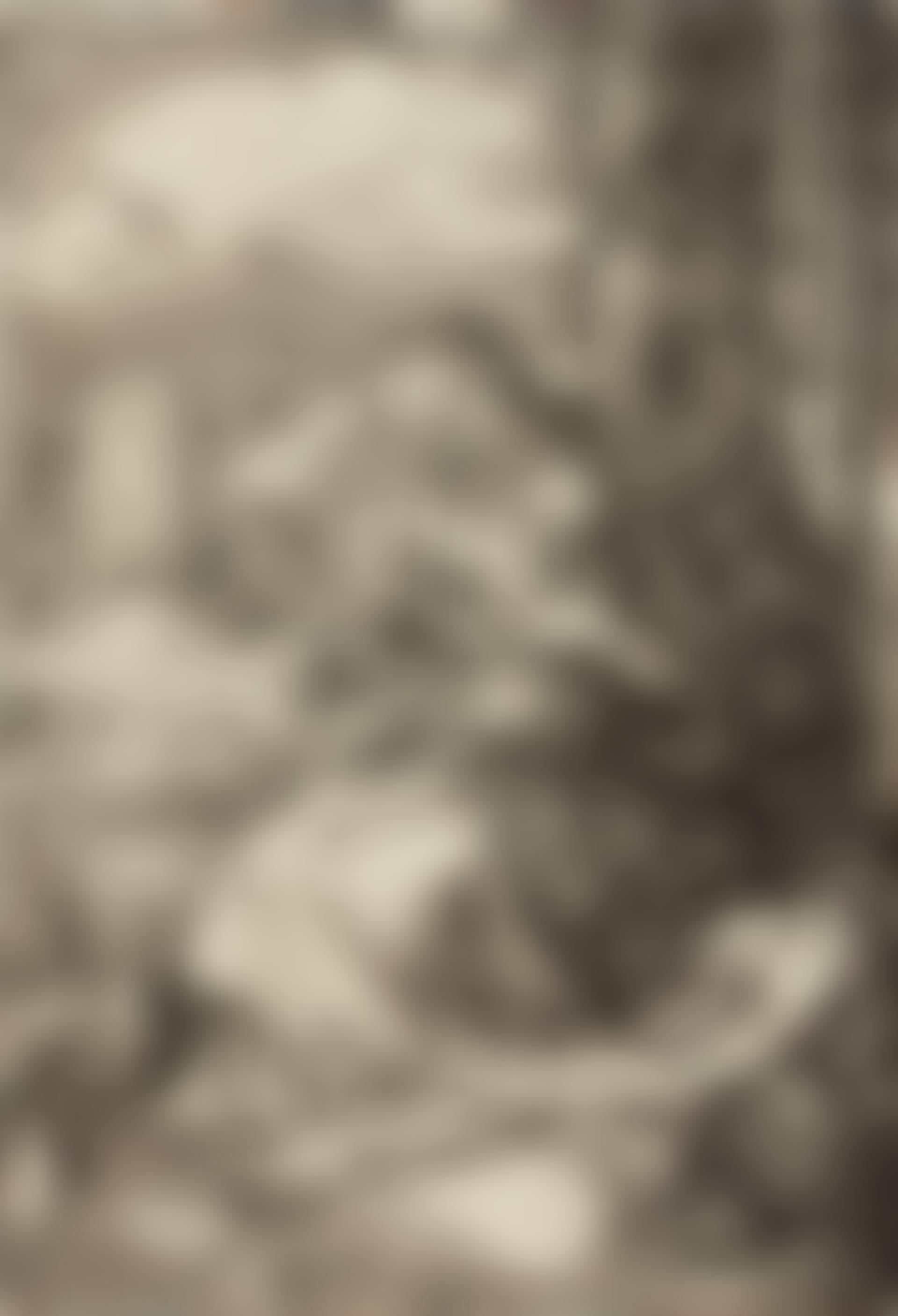 The Virgin with the Pear (preview)