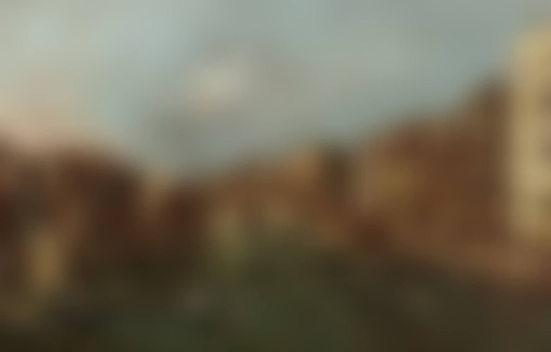 A View of Rialto Bridge in Venice (preview)