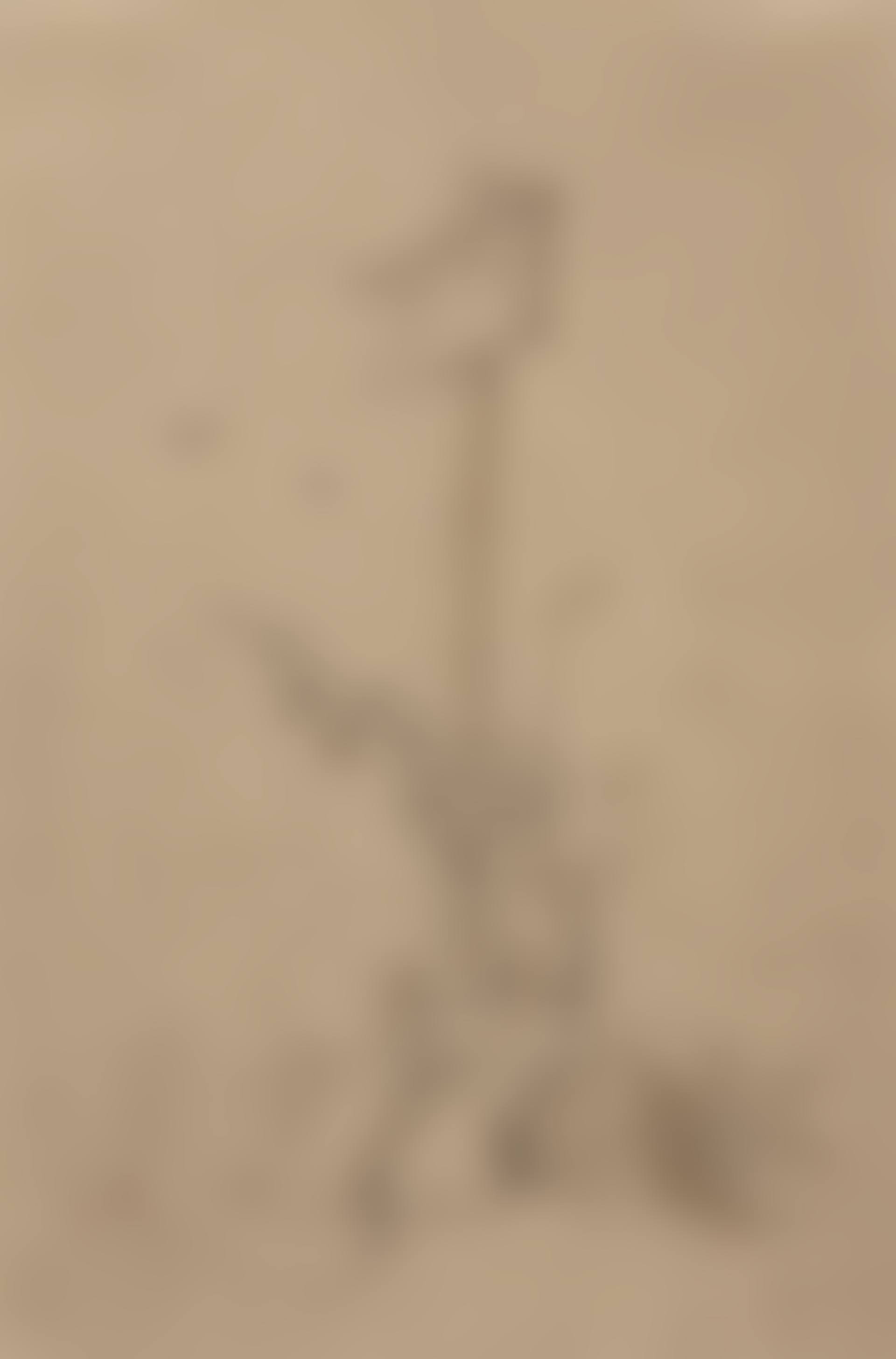 Small Wooden Sign at the Wayside (preview)