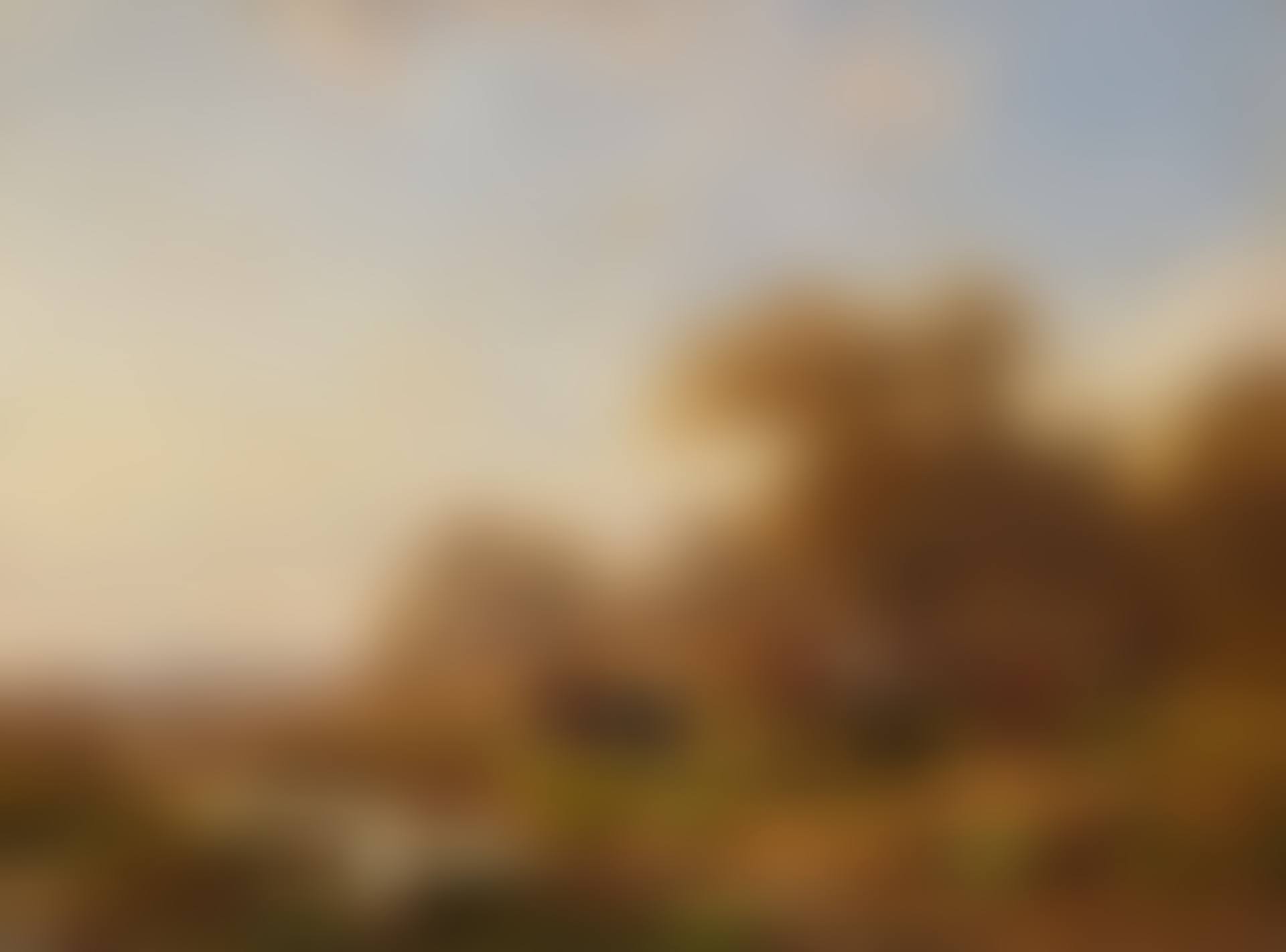 Marshland with a Herd of Cows (preview)