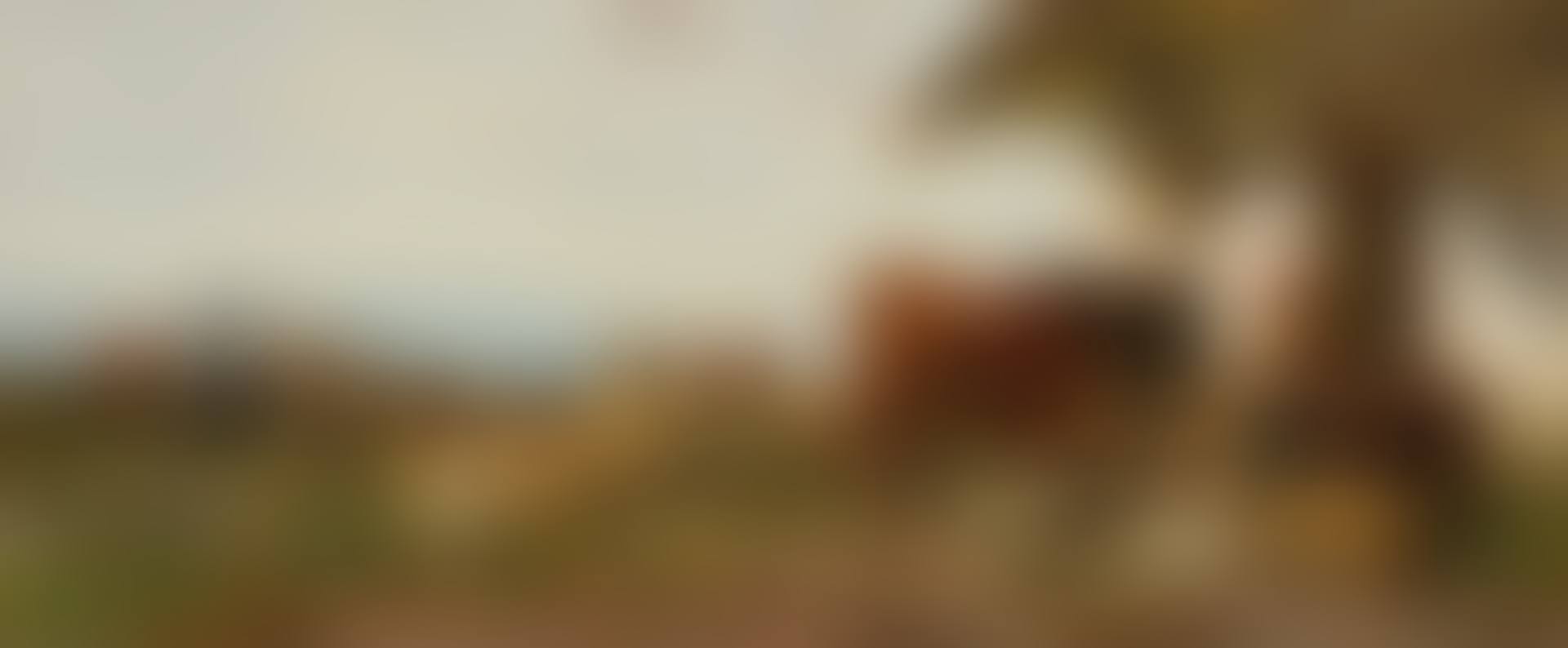 Return from the Fields (preview)