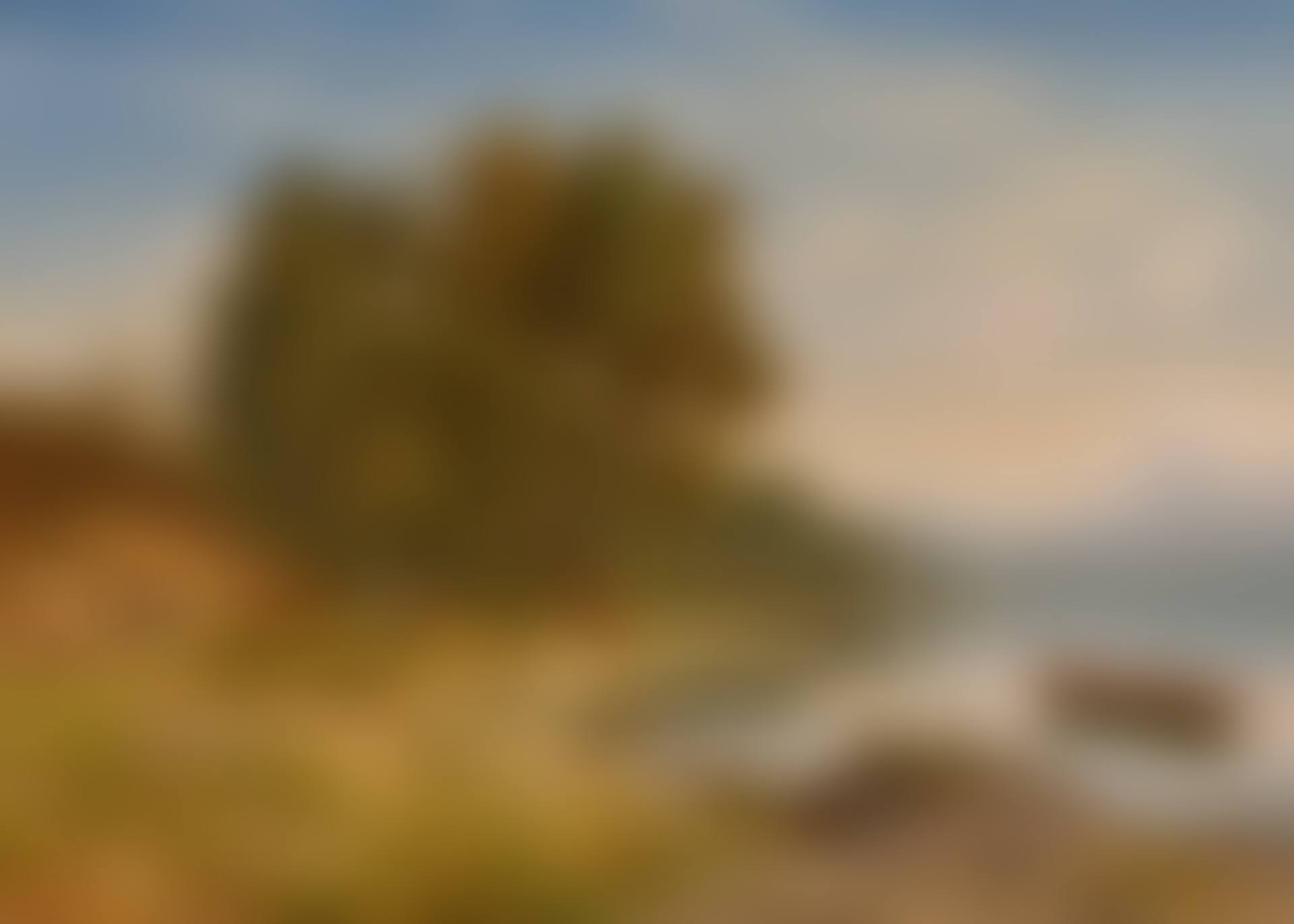 Shore Scenery at Lake Lucerne near Meggen (preview)