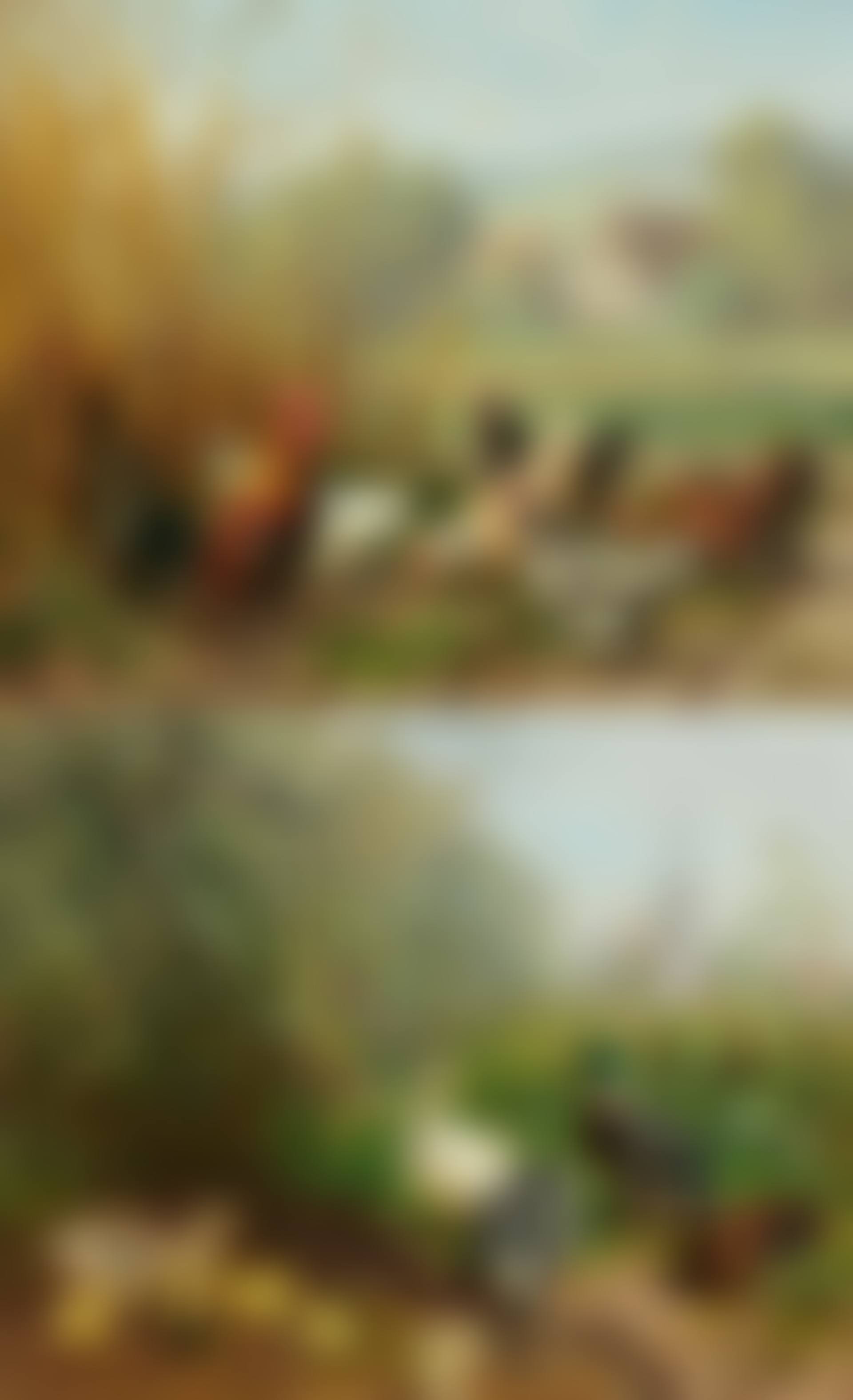 Poultry in the Fields / Ducks in the Pond (preview)