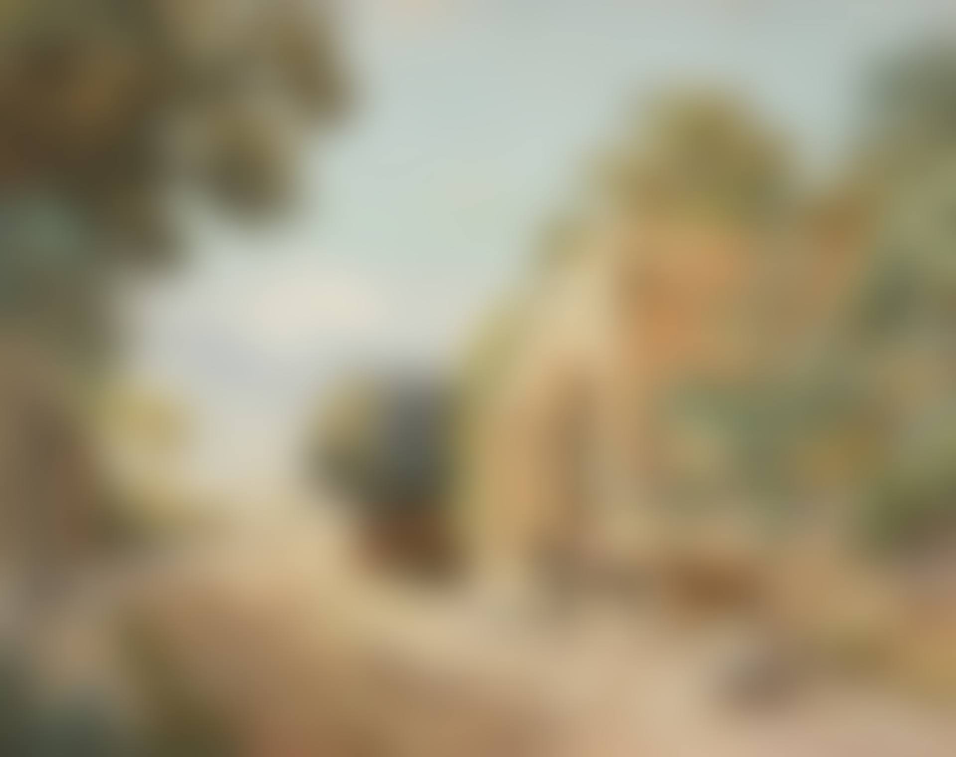 Street in Mexico (preview)