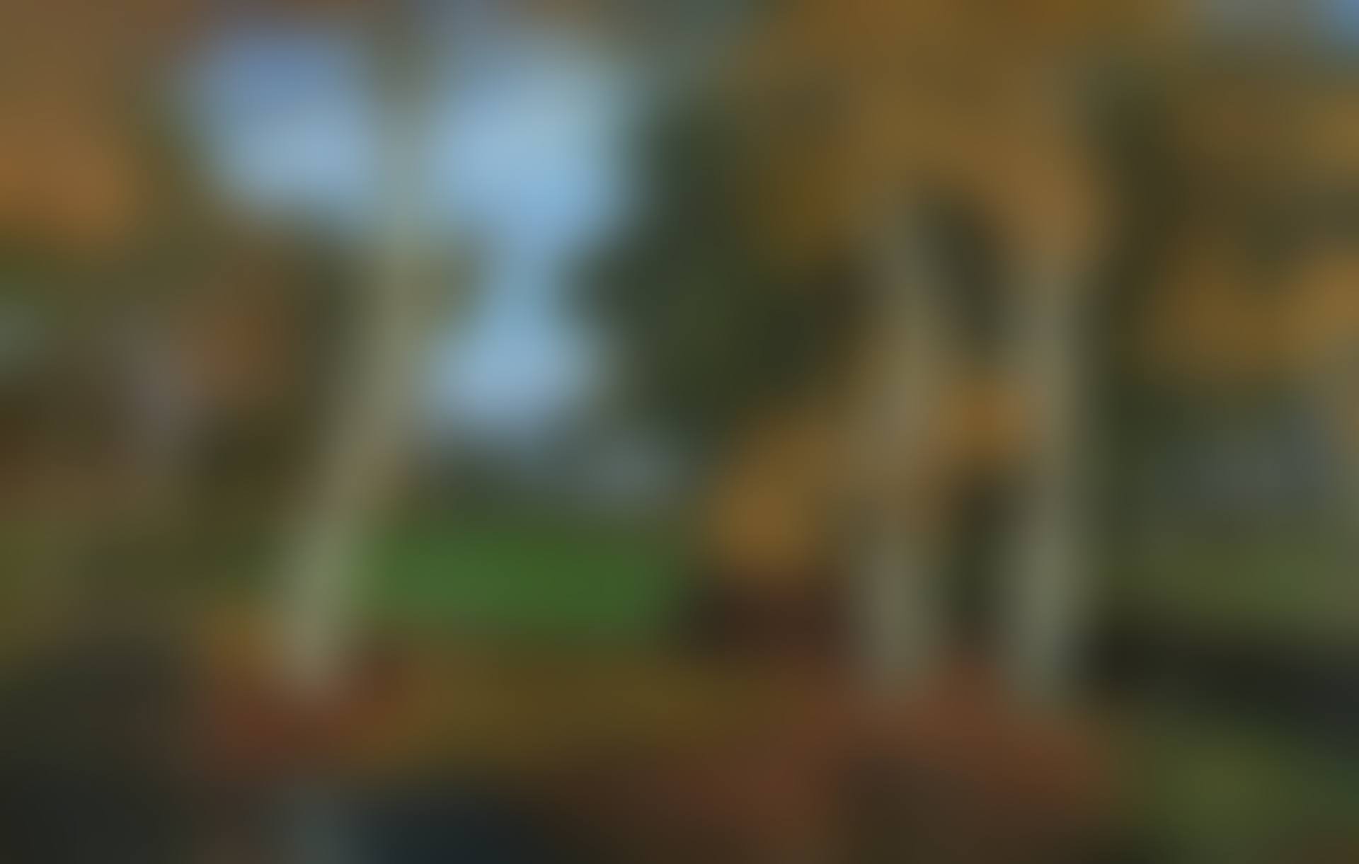 An Autumn Evening in the Moor (preview)