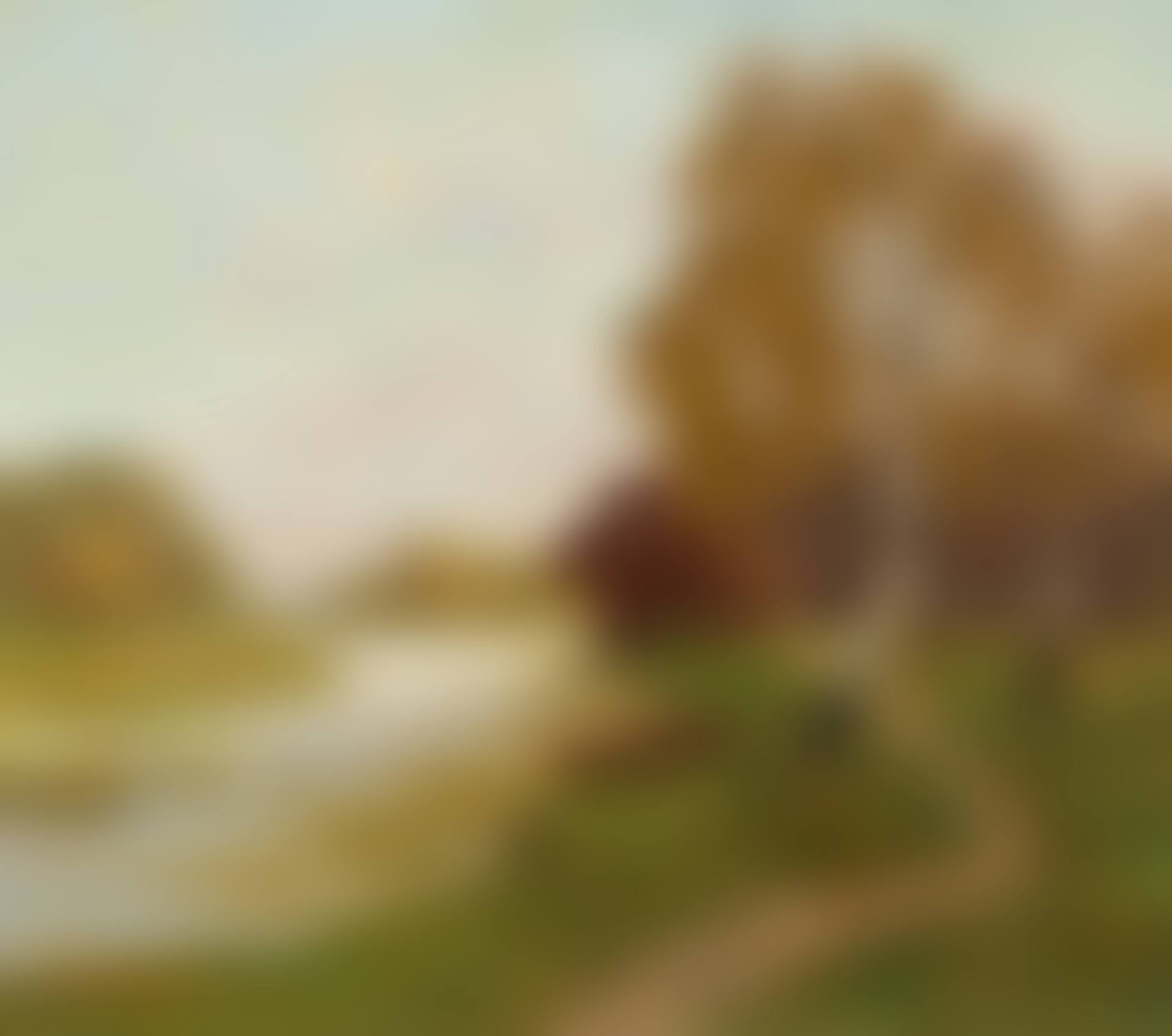 Autumnal Marsh Landscape (preview)