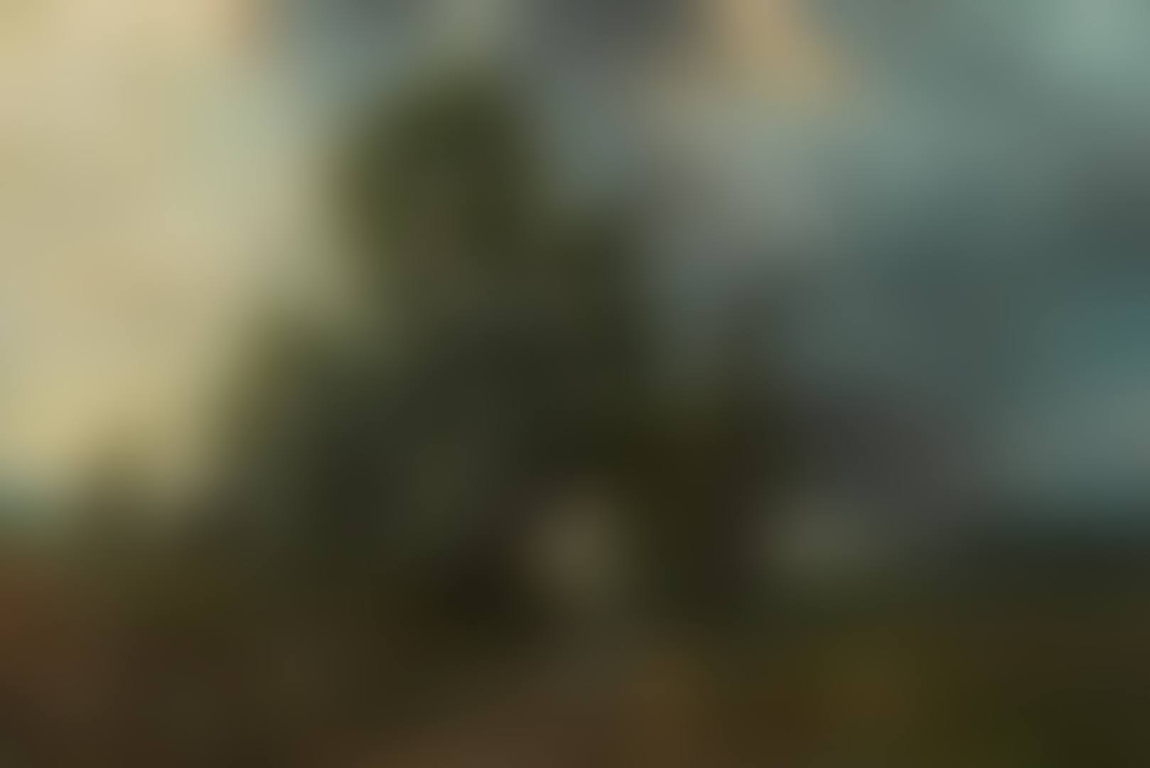 Black Forest Landscape in a Thunderstorm (preview)