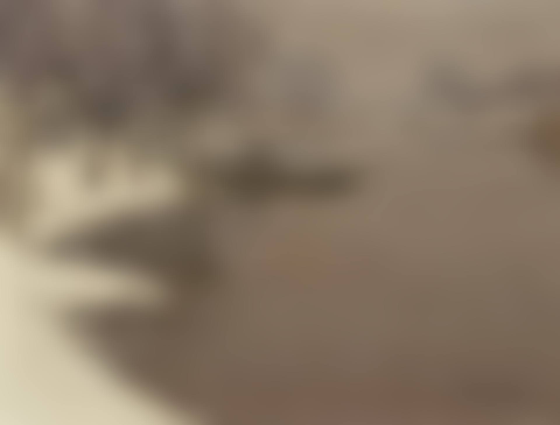 Winter Landscape in the Lower Rhine (preview)