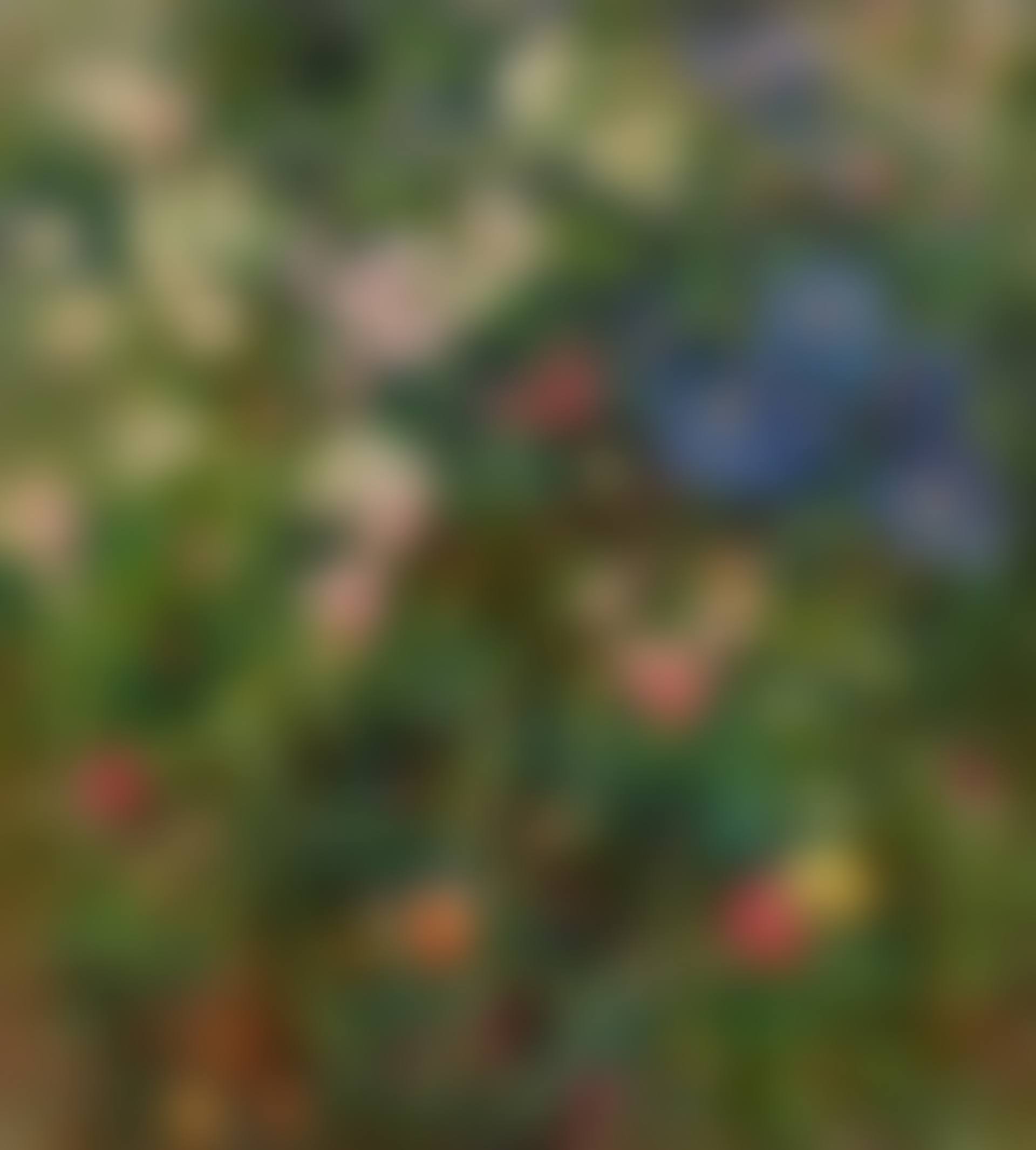Bed of Roses (preview)
