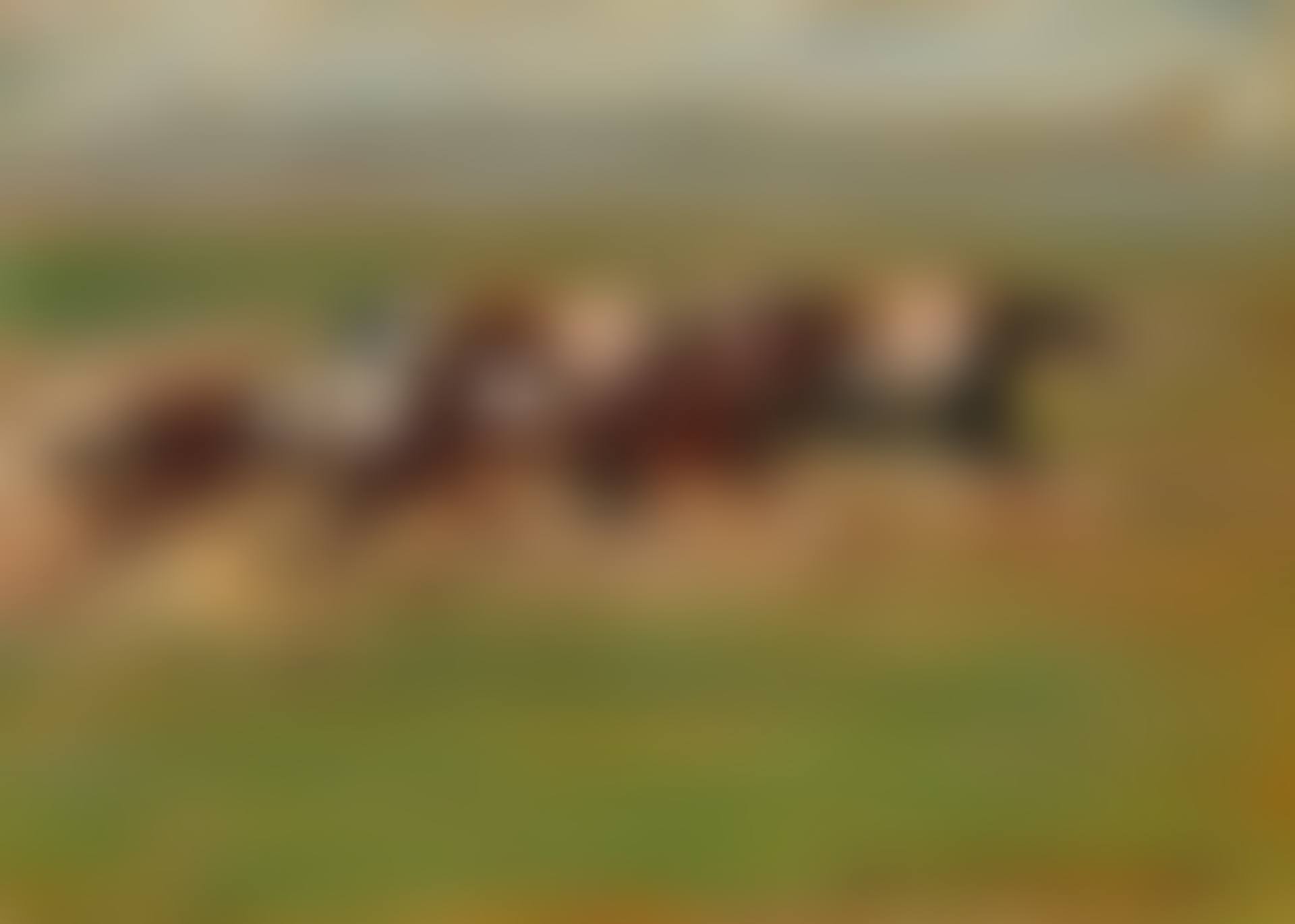 Horse Racing (preview)