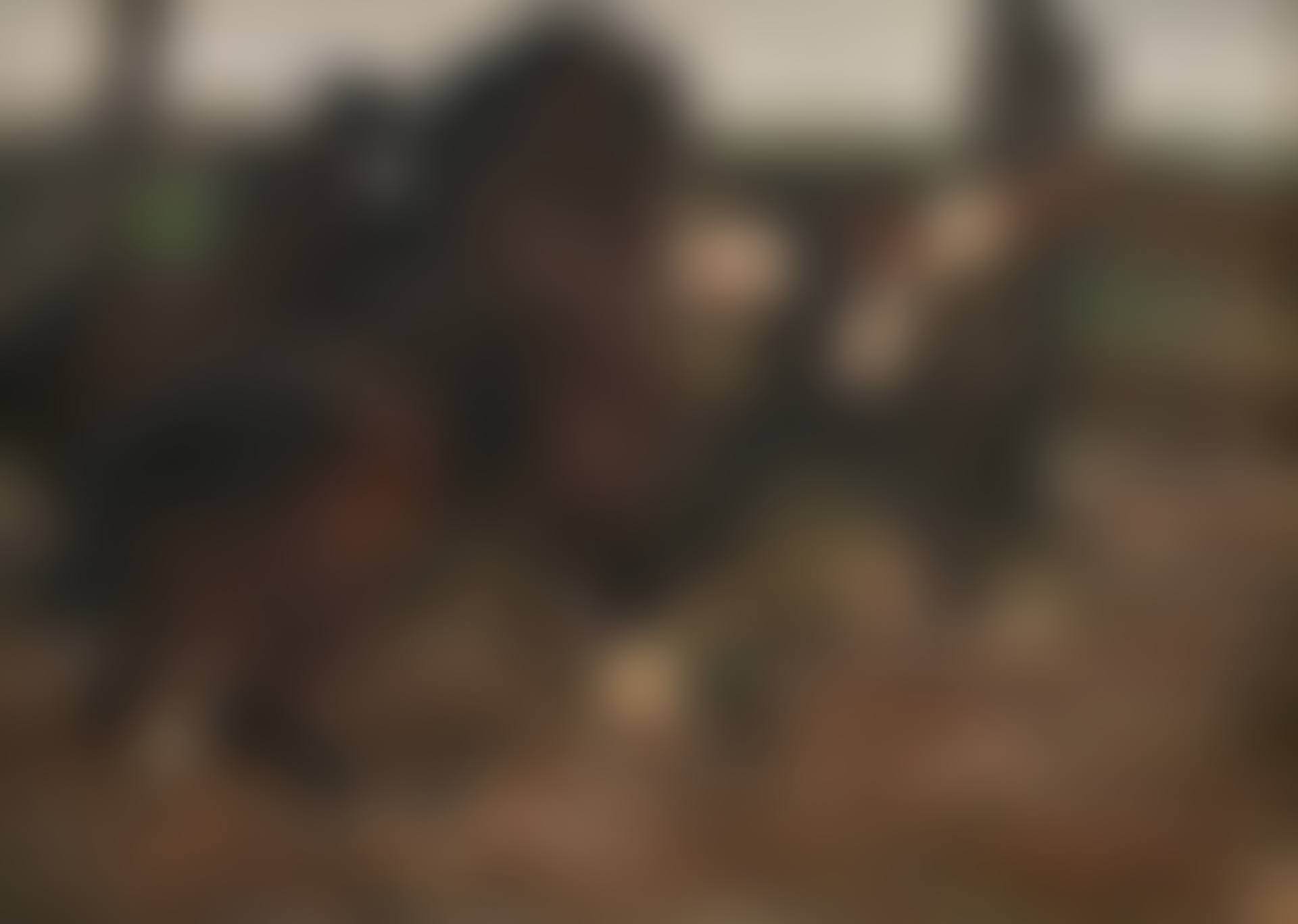 Farmer, Taming Two Horses (preview)