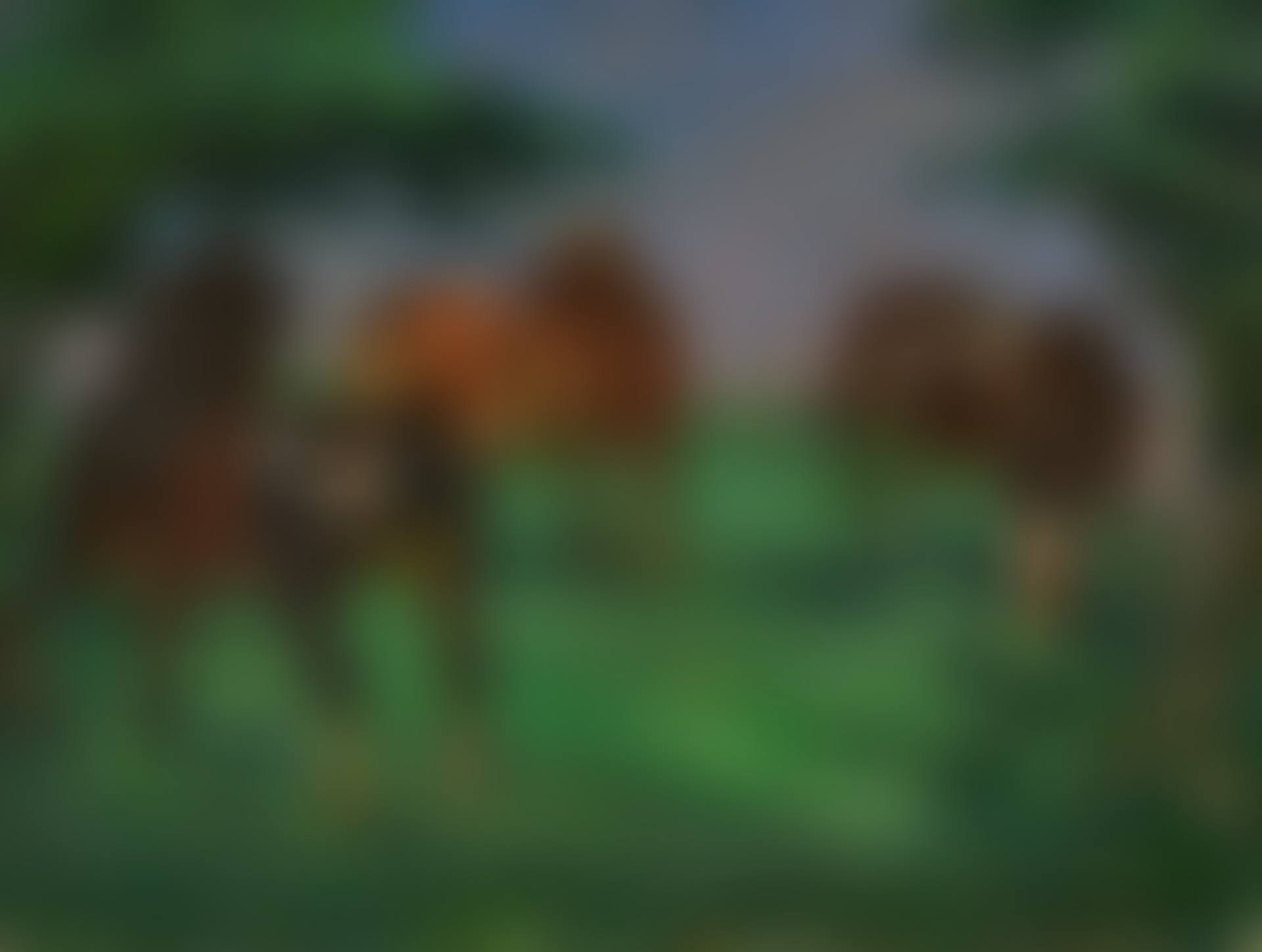 Three Horses (preview)