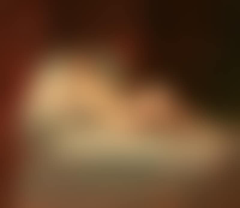 A reclining nude (preview)