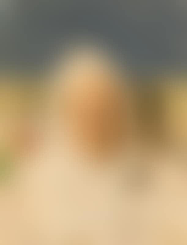 Portrait of Mrs. Brøndum (preview)