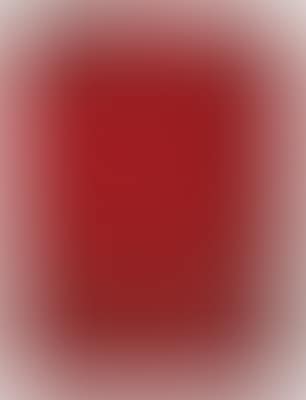 Untitled; title on the certificate; „Nunquam retrorsum, semper prosum“ (preview)
