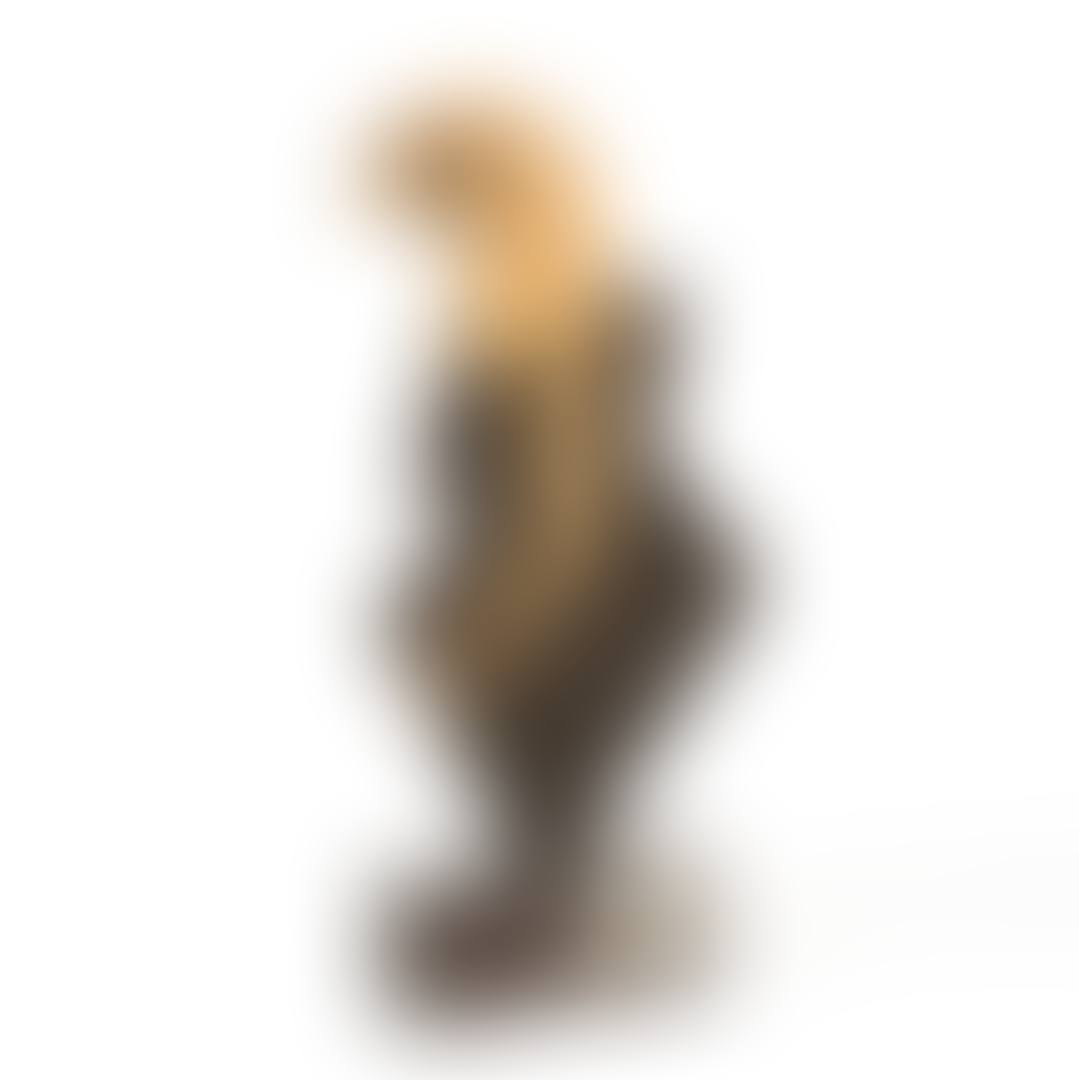 Fågel Fenix (preview)