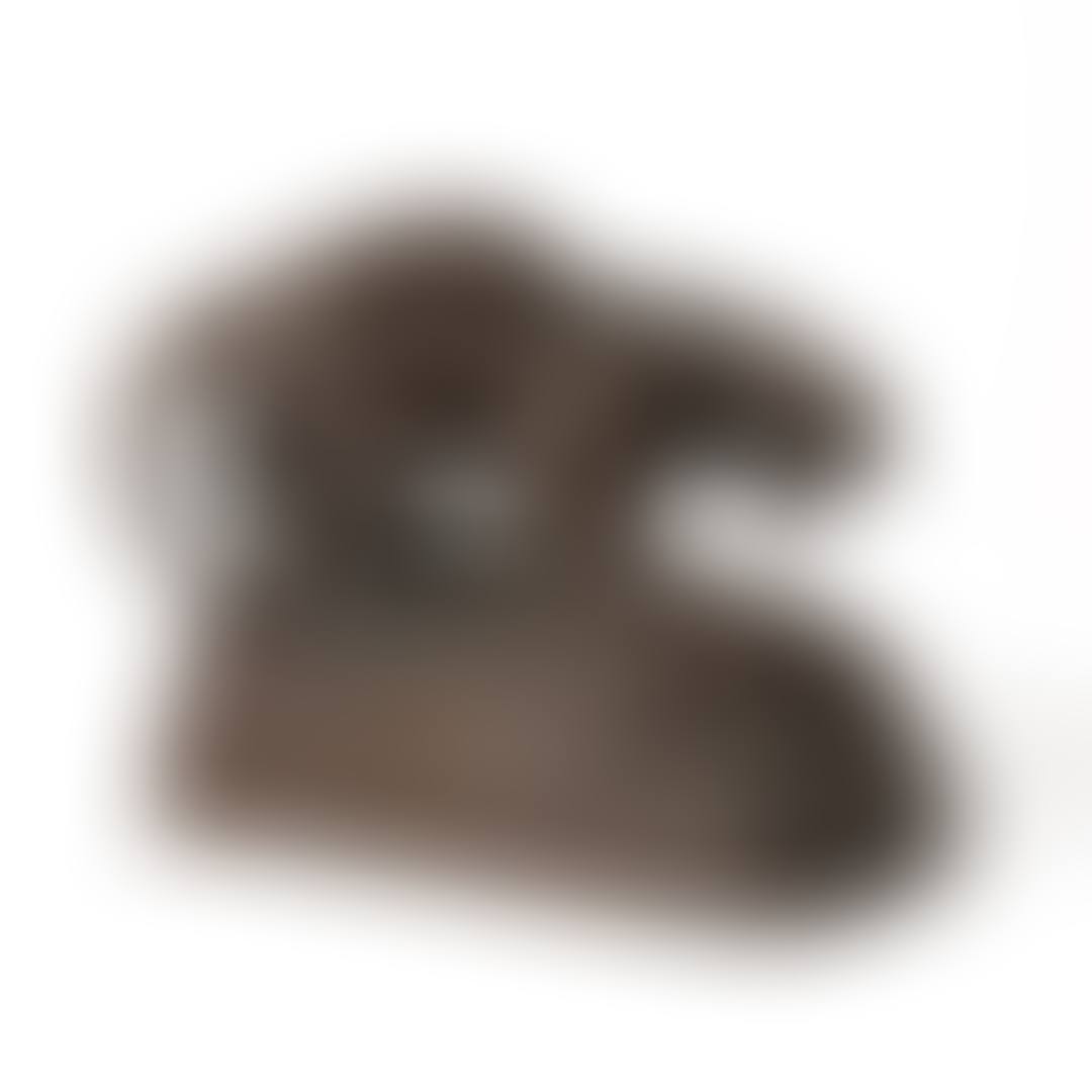 Lejonhona (preview)