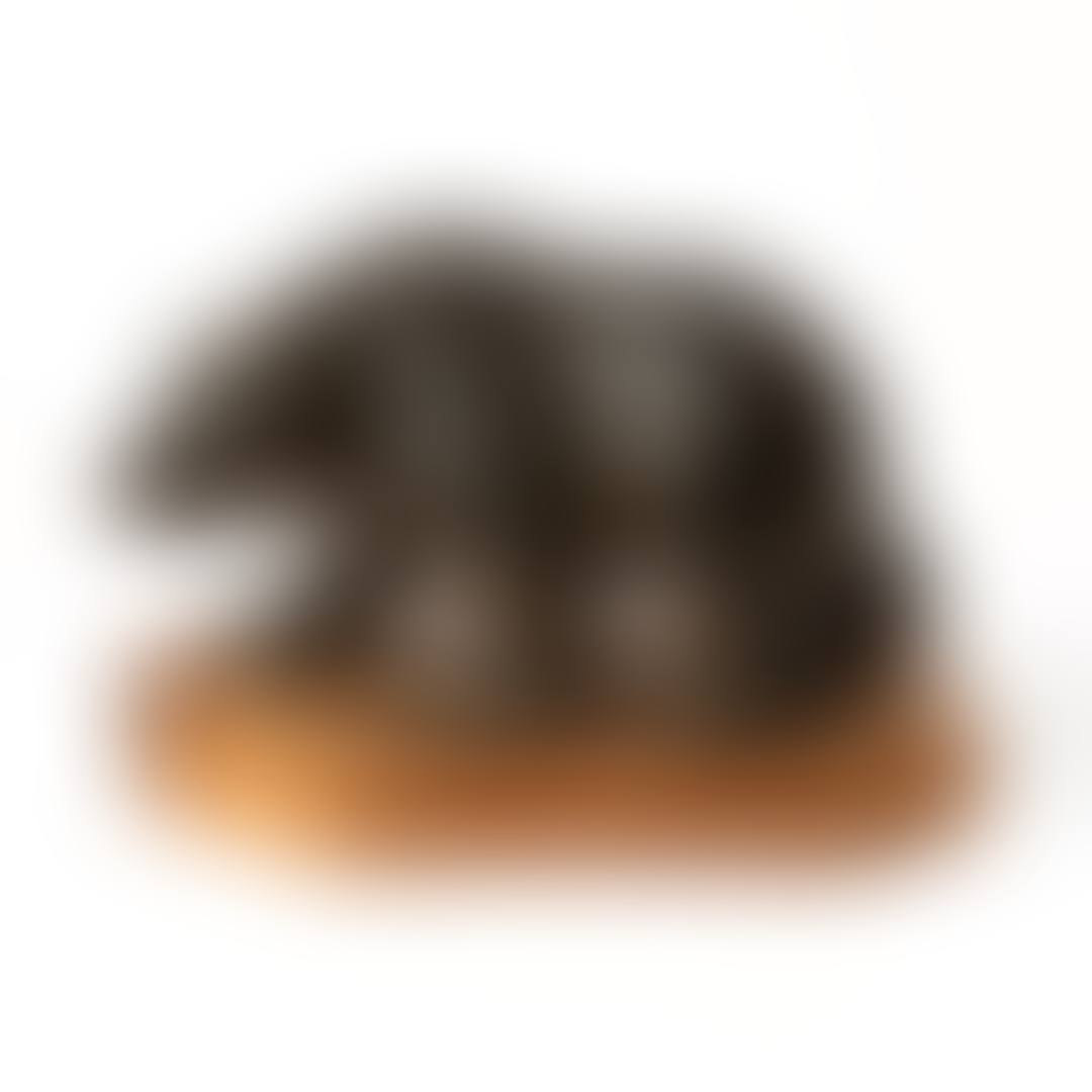 Björn (preview)